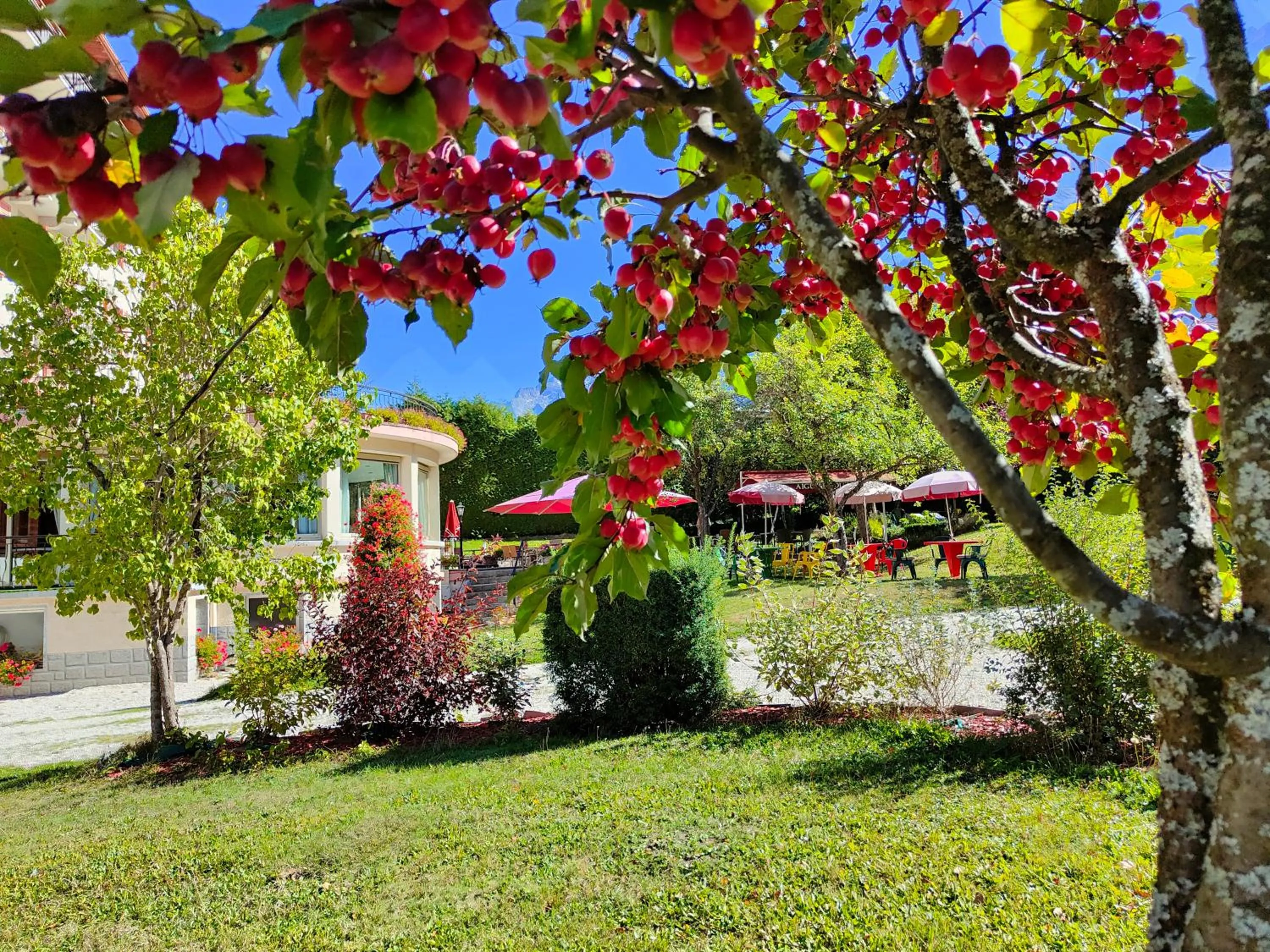 Spring in Aiguille du Midi - Hôtel & Restaurant