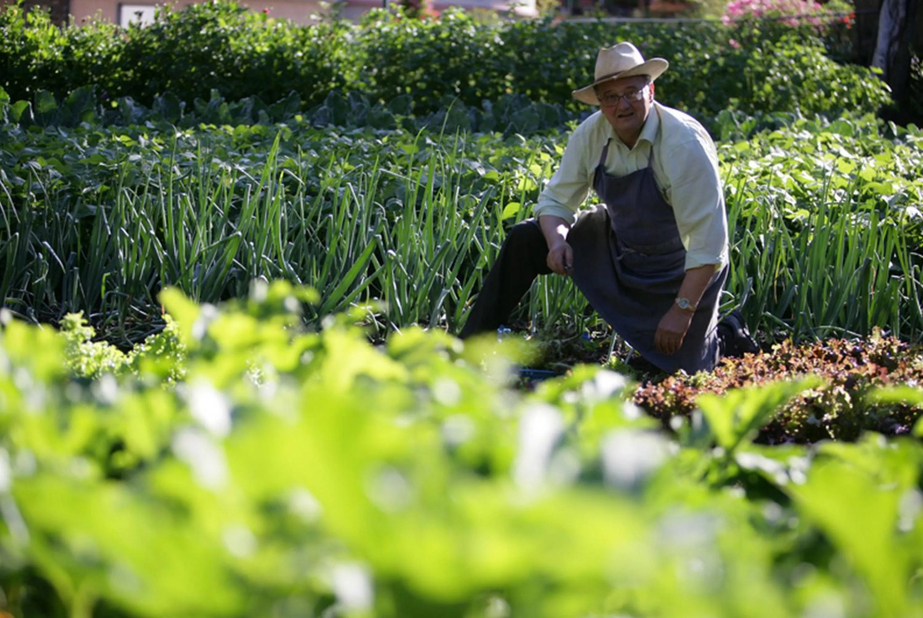 Garden in Aiguille du Midi - Hôtel & Restaurant