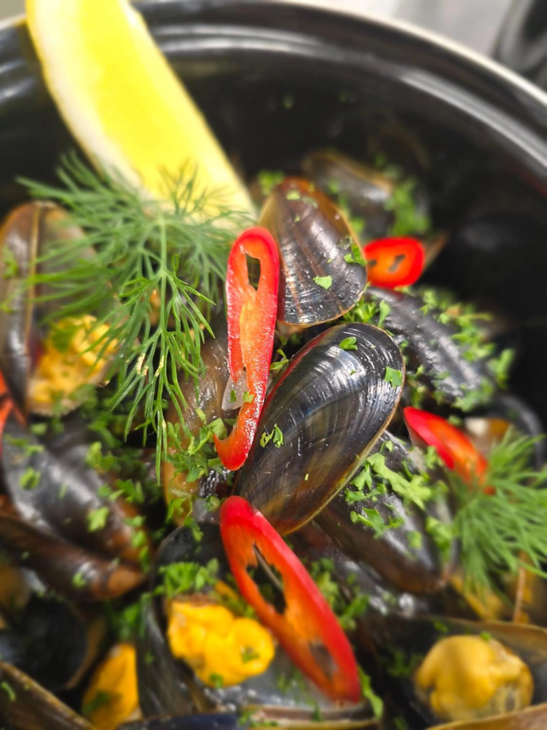 Restaurant/places to eat in Flåm Marina