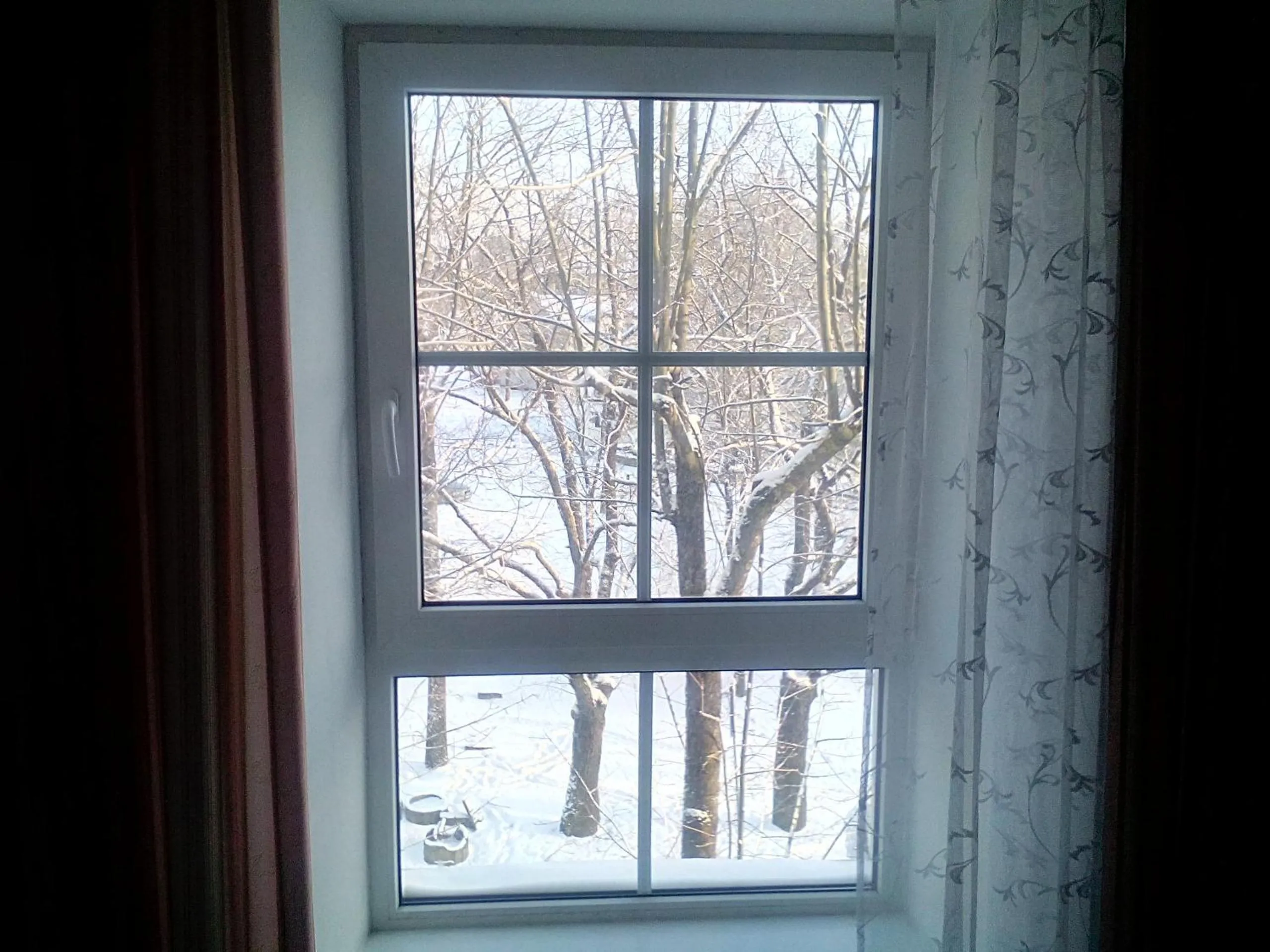 Day in Central Hotel