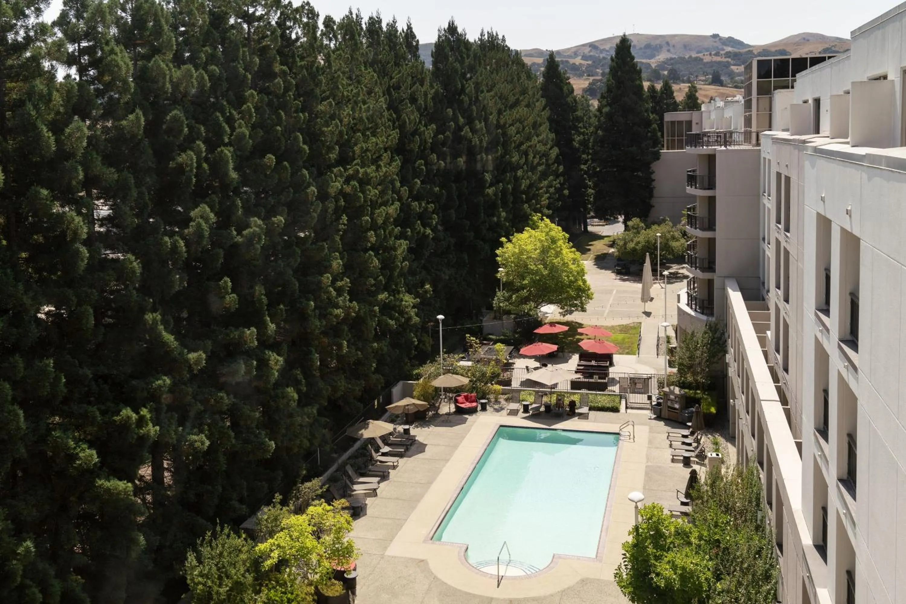 Swimming pool in San Ramon Marriott