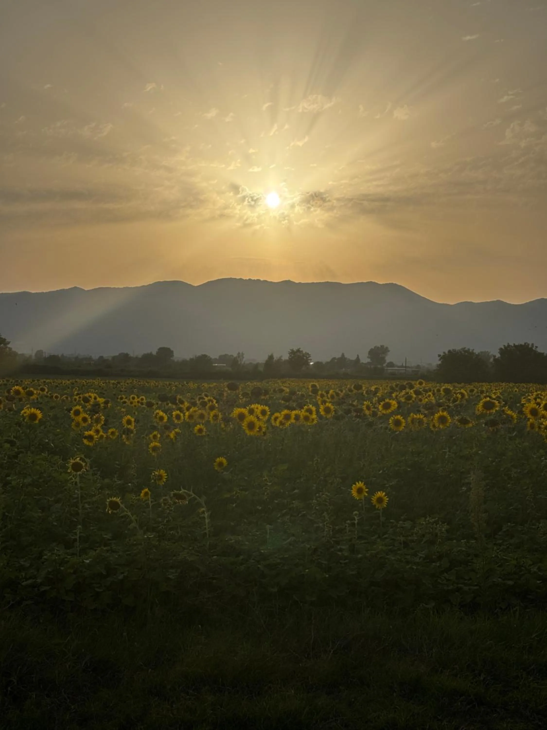 View (from property/room) in Il Casale dei Nonni