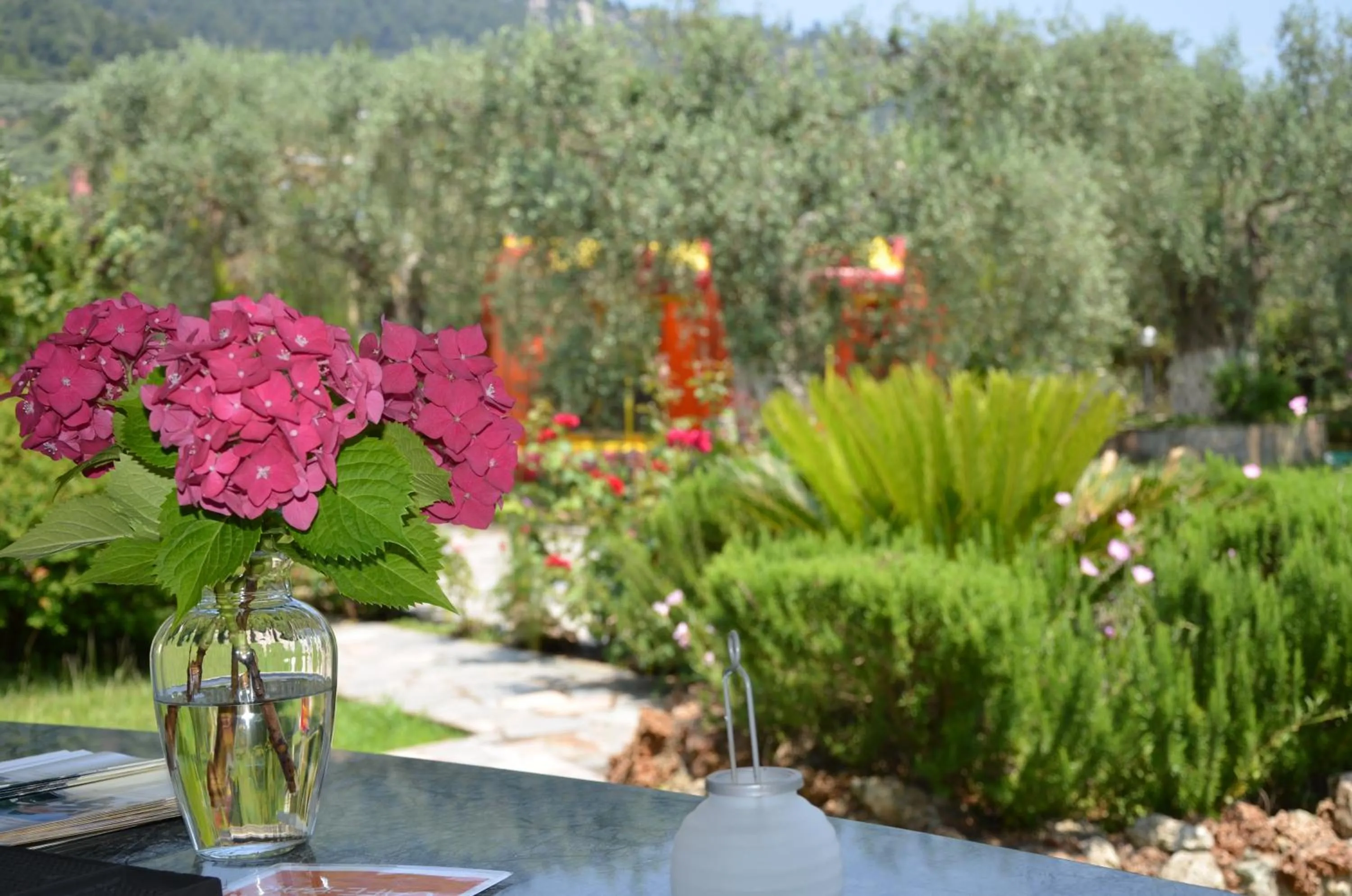Garden view in Hotel Maria