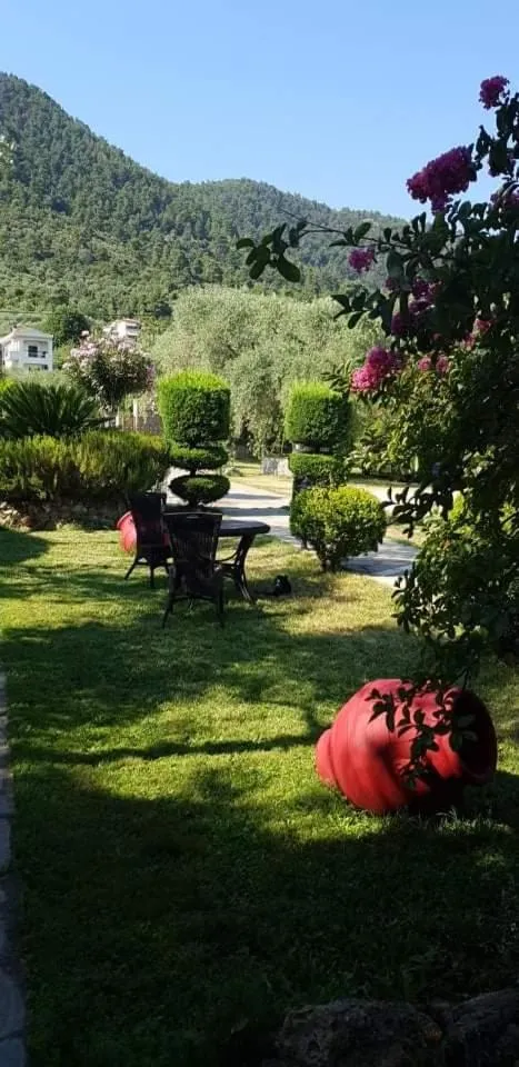 Garden in Hotel Maria