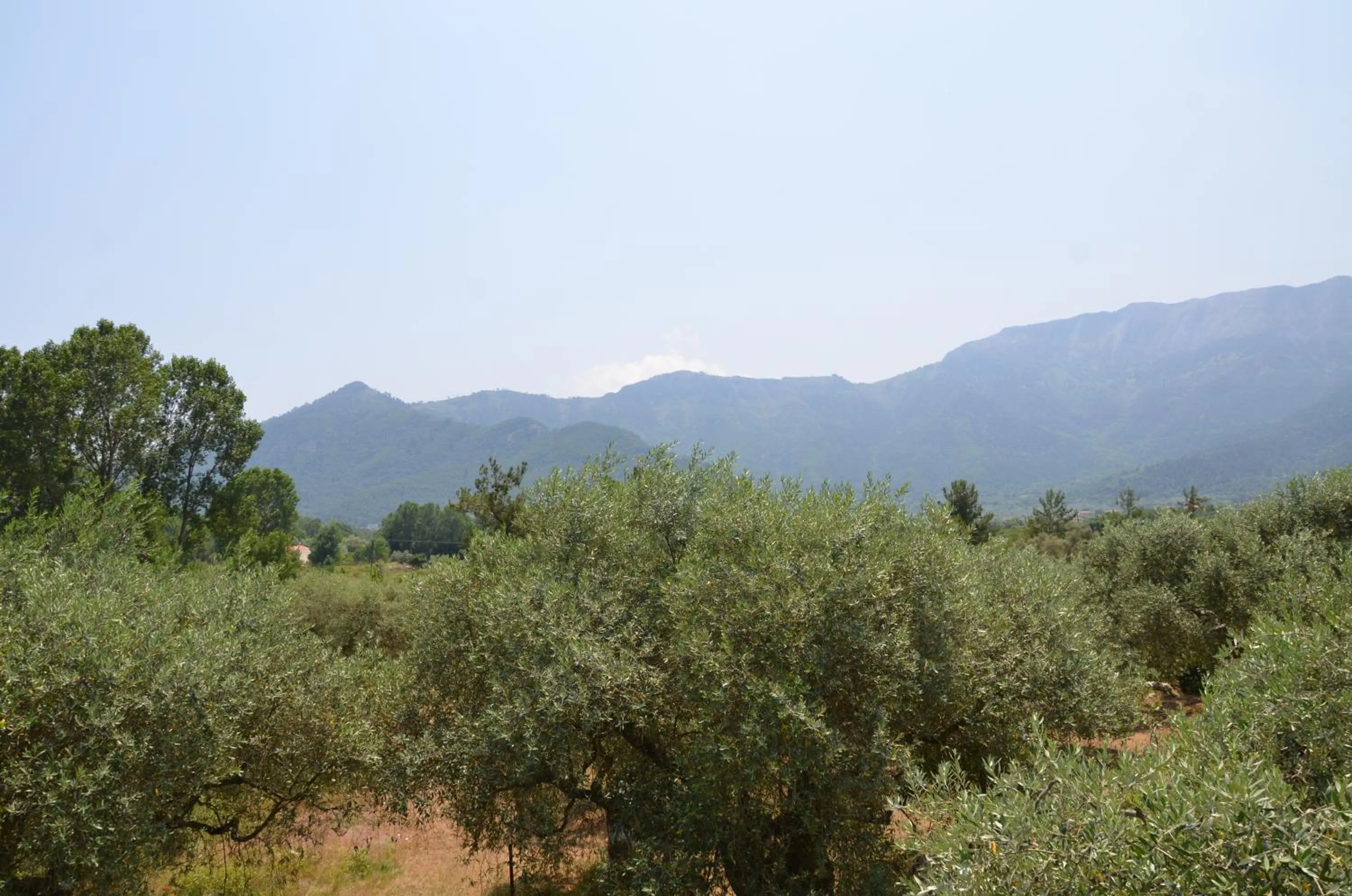 Mountain view in Hotel Maria