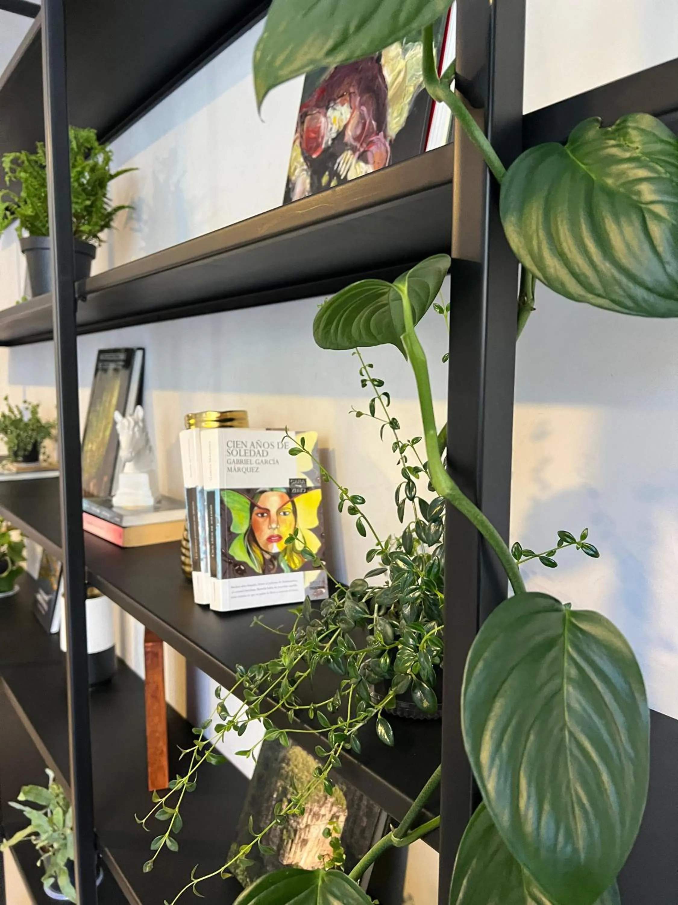 Meeting/conference room in Nogal Suite Hotel Pasto