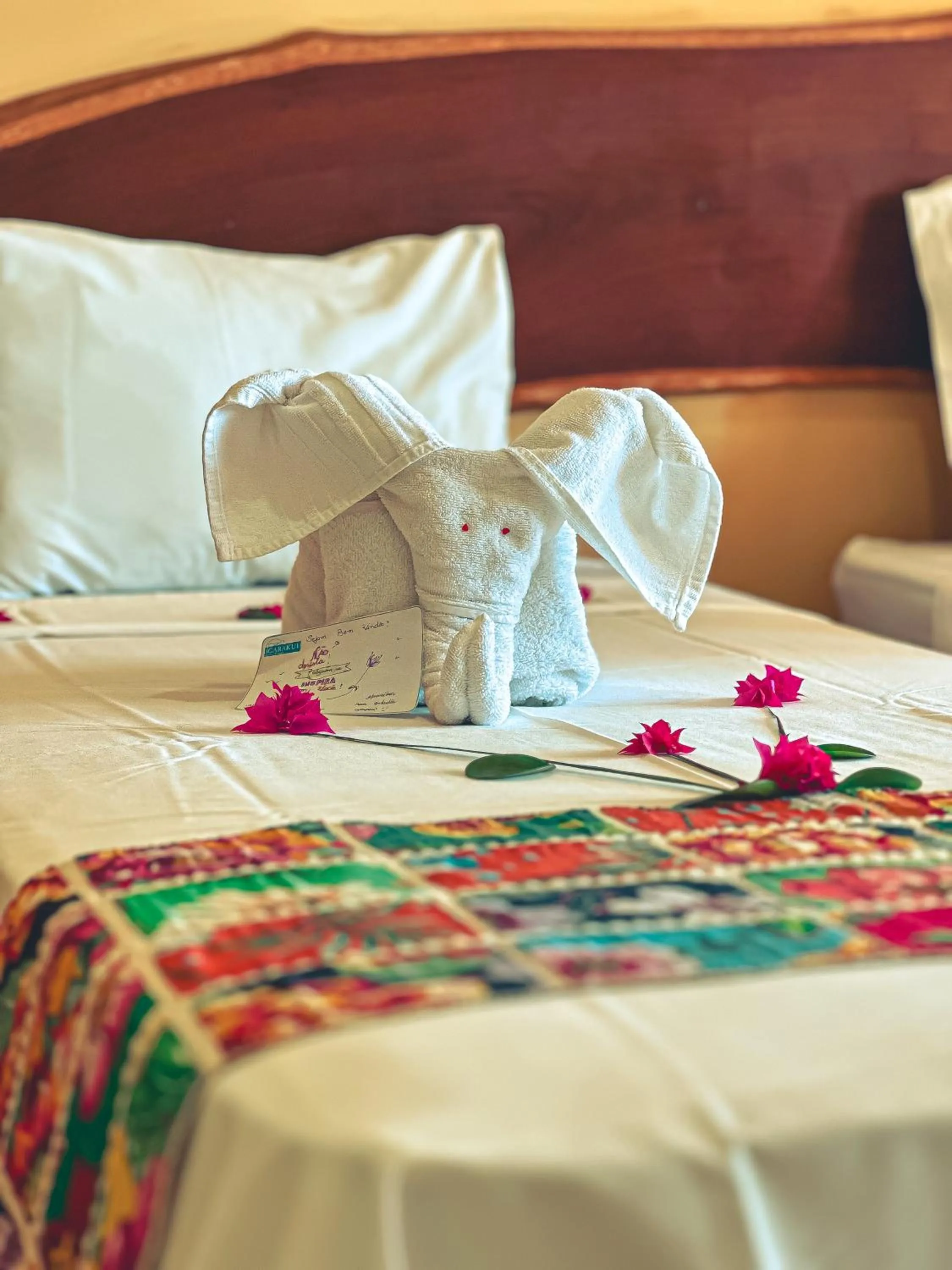 Bed in Igarakuê Flat