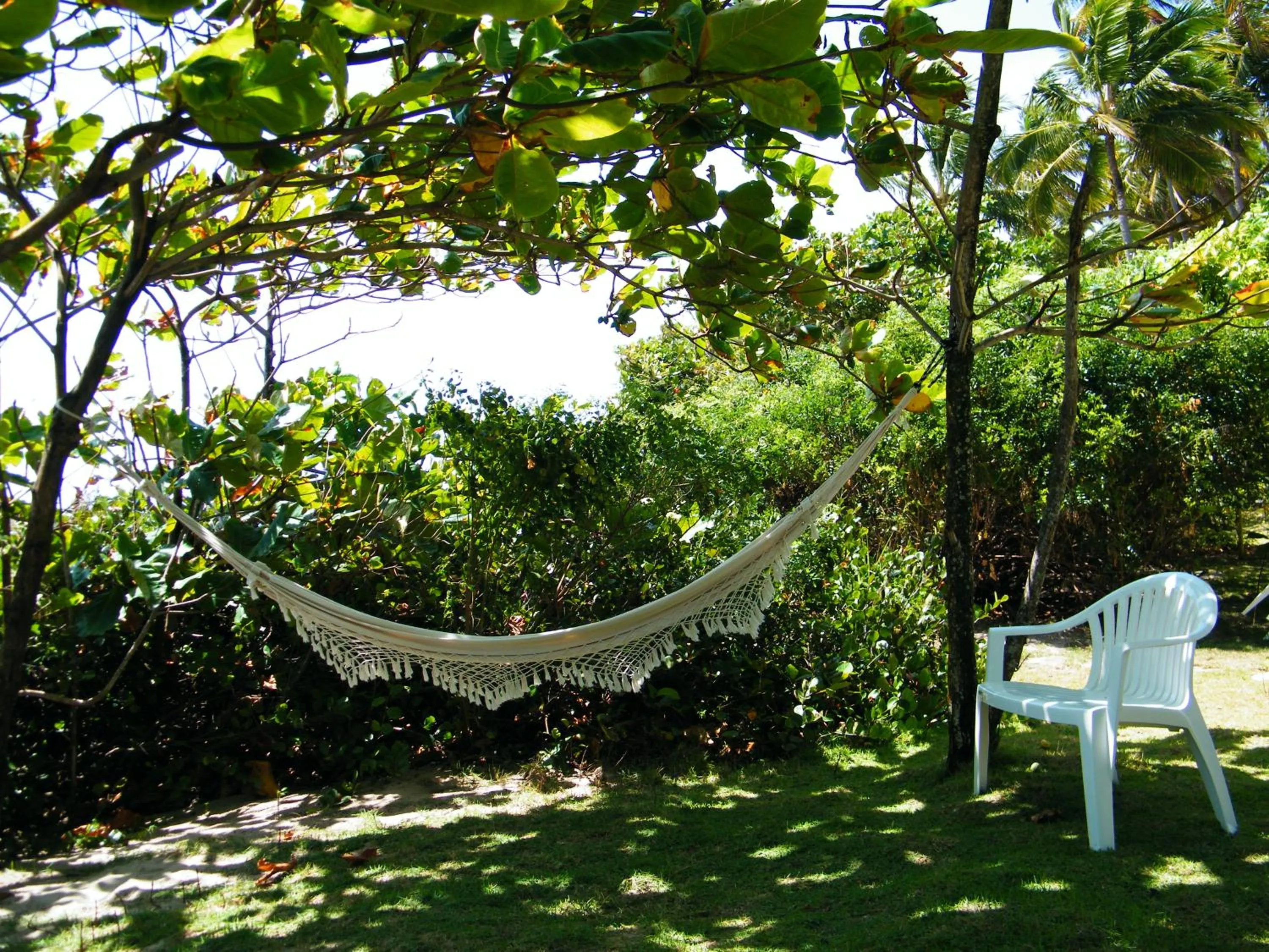 Spring in Igarakuê Flat