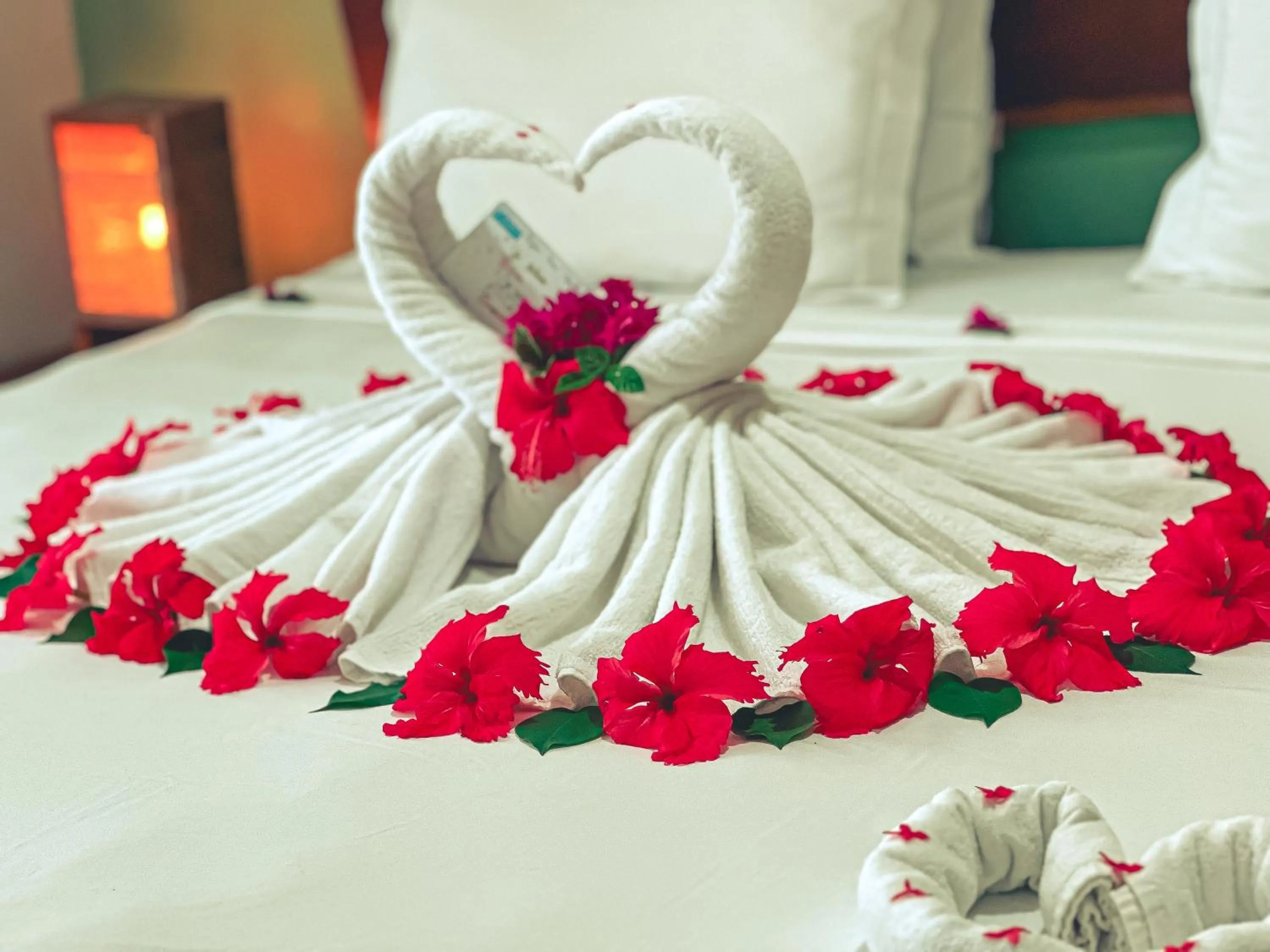 Bed in Igarakuê Flat