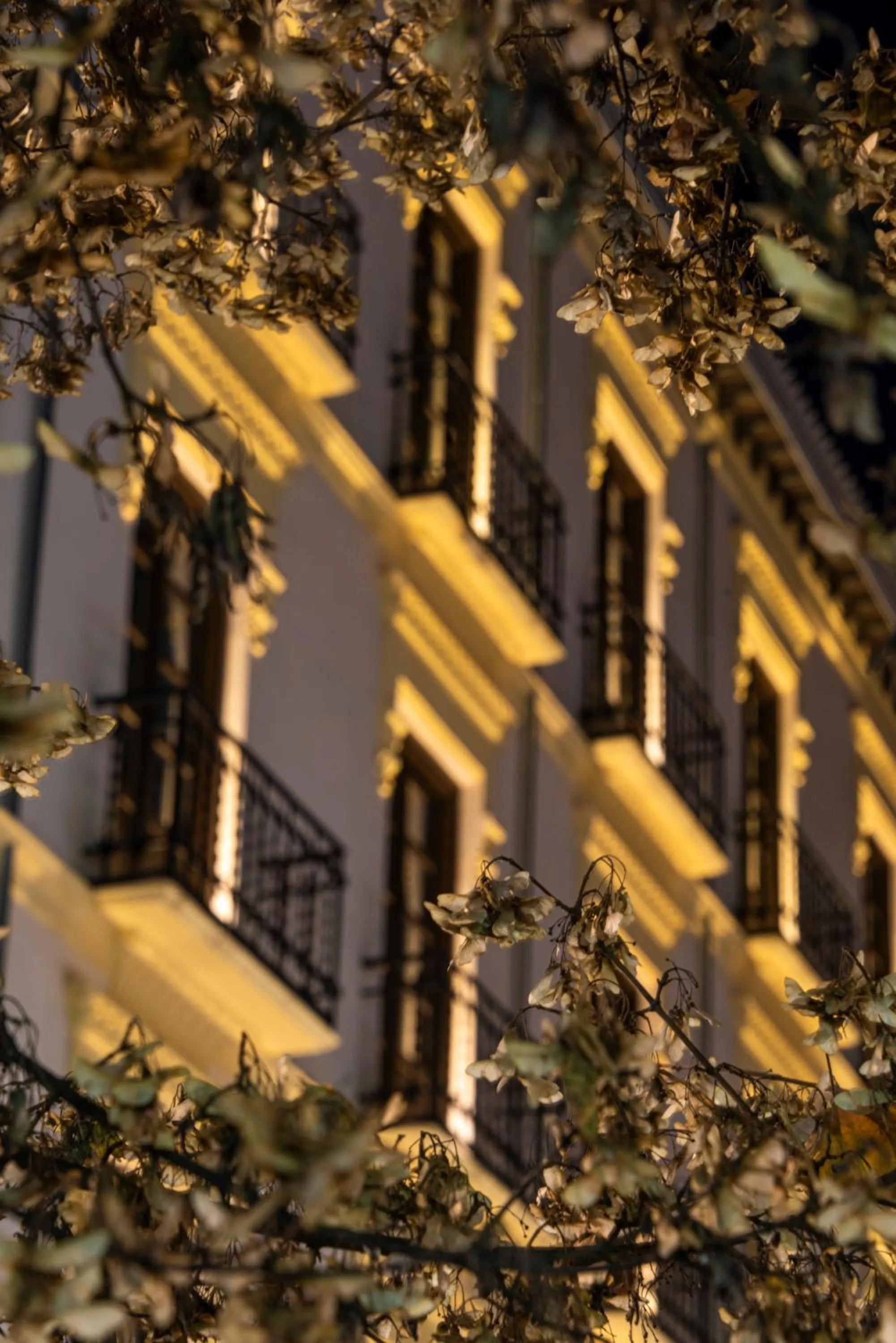 Facade/entrance in La Casa de la Trinidad