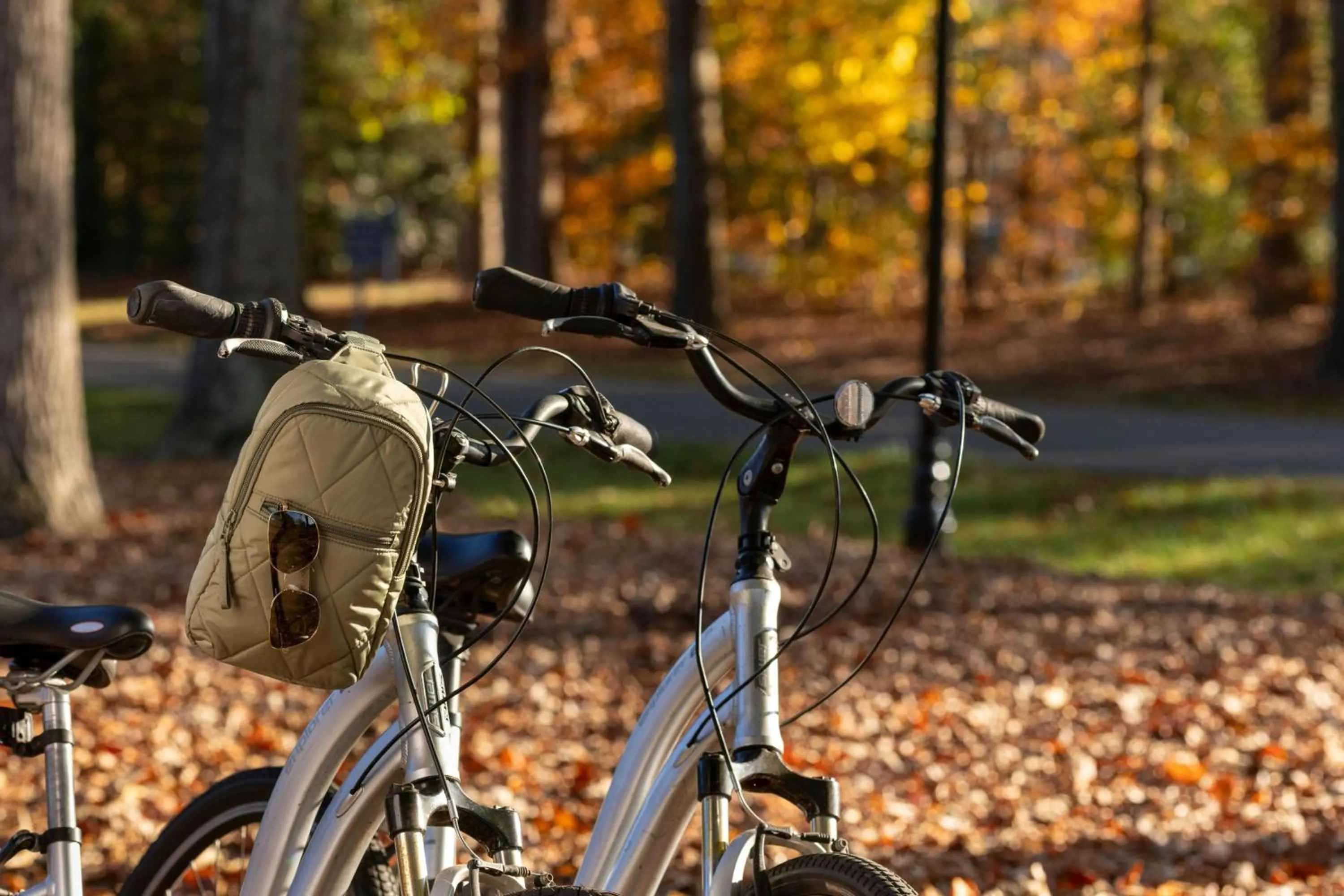 Other in Marriott's Manor Club at Ford's Colony