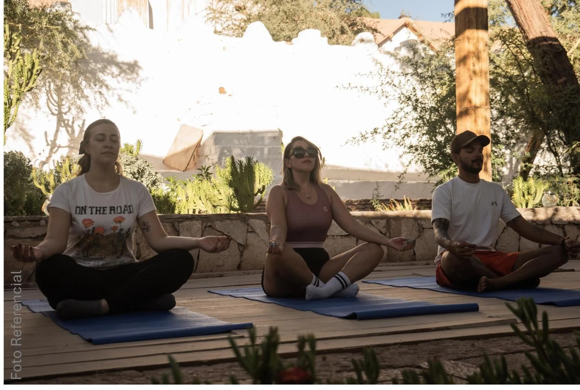 Fitness centre/facilities in Terrantai Lodge