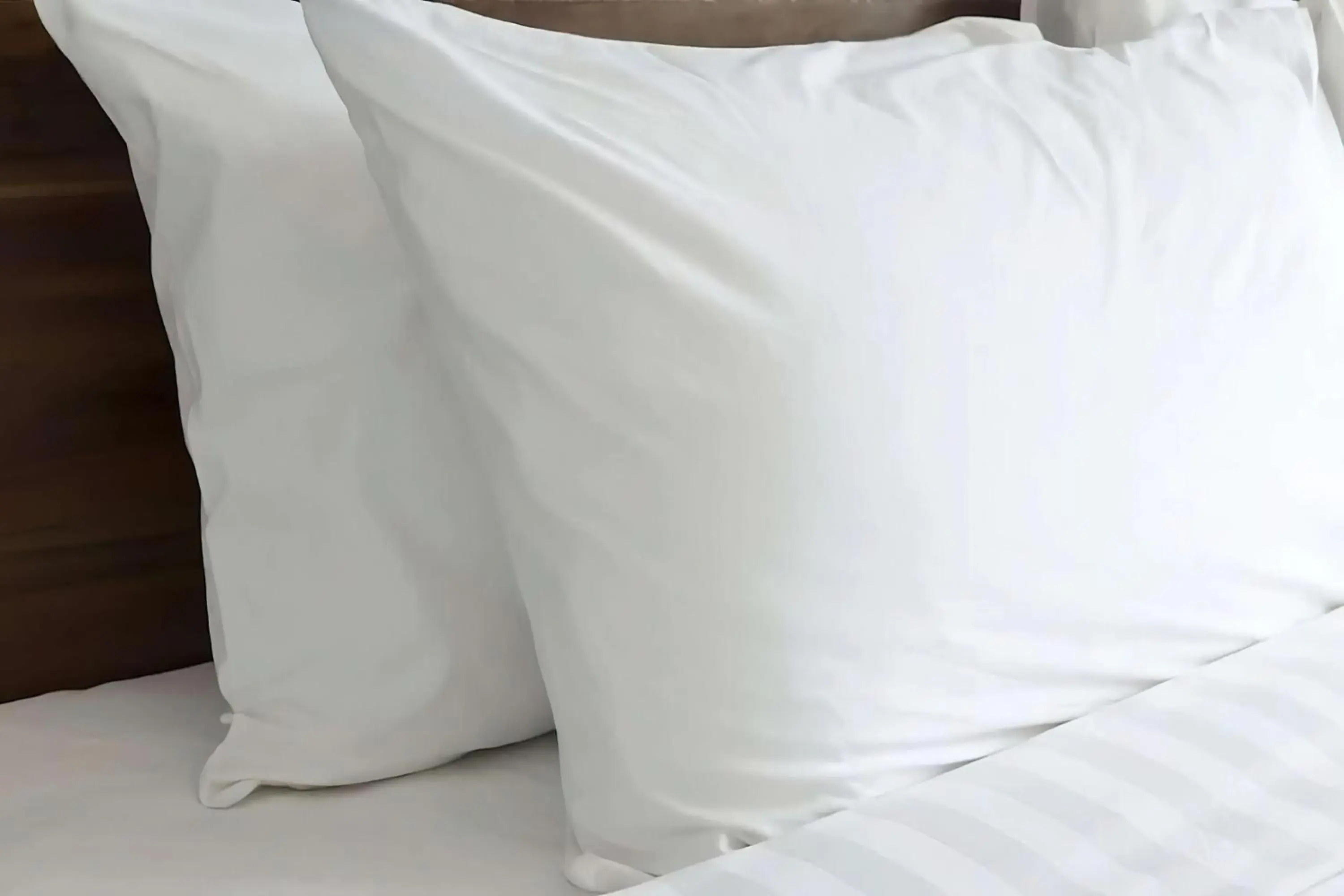 Two-Bedroom Suite in Sonesta ES Suites Raleigh Cary Two-Bedroom Suite in Sonesta ES Suites Raleigh Cary