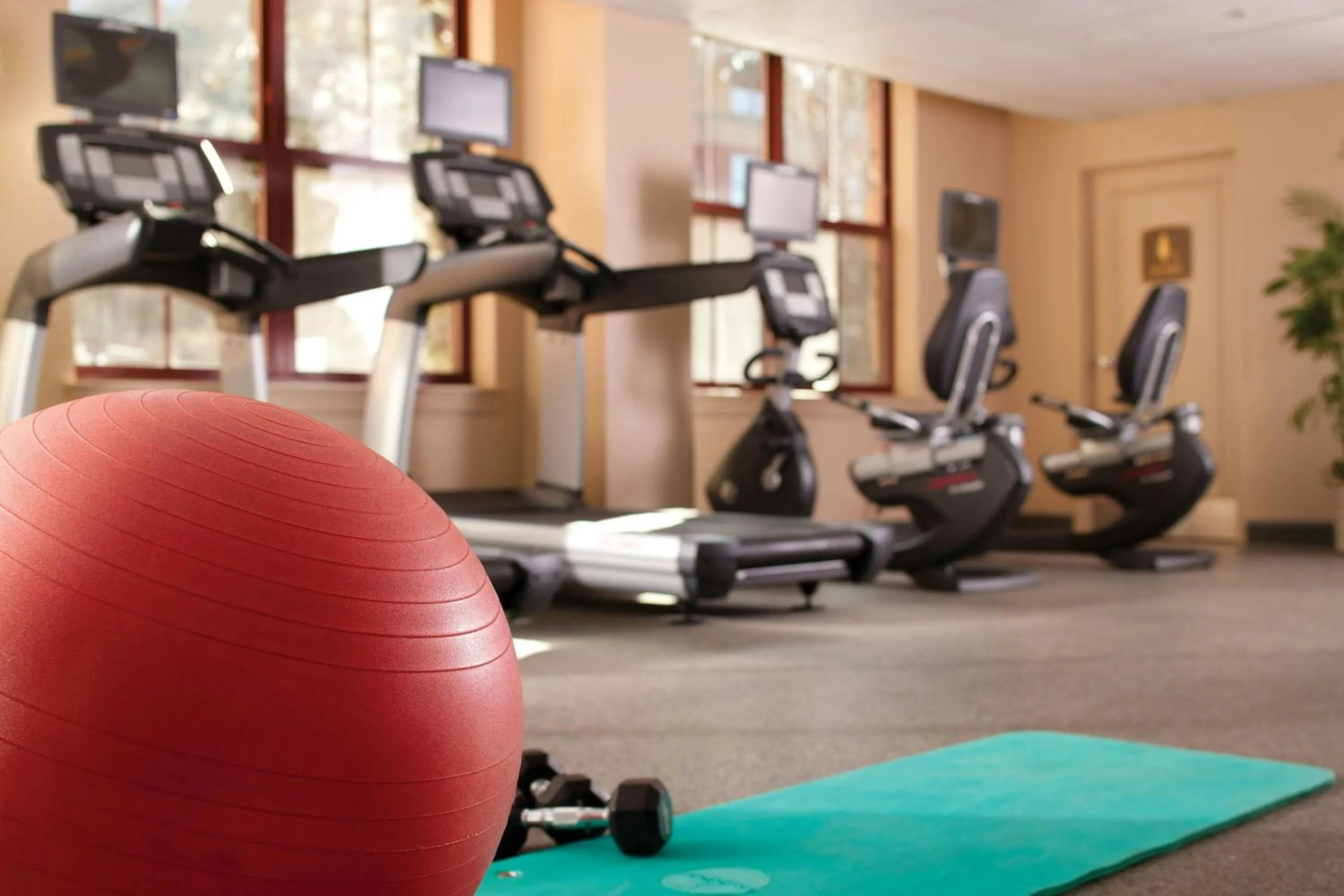 Fitness centre/facilities in Marriott's Timber Lodge