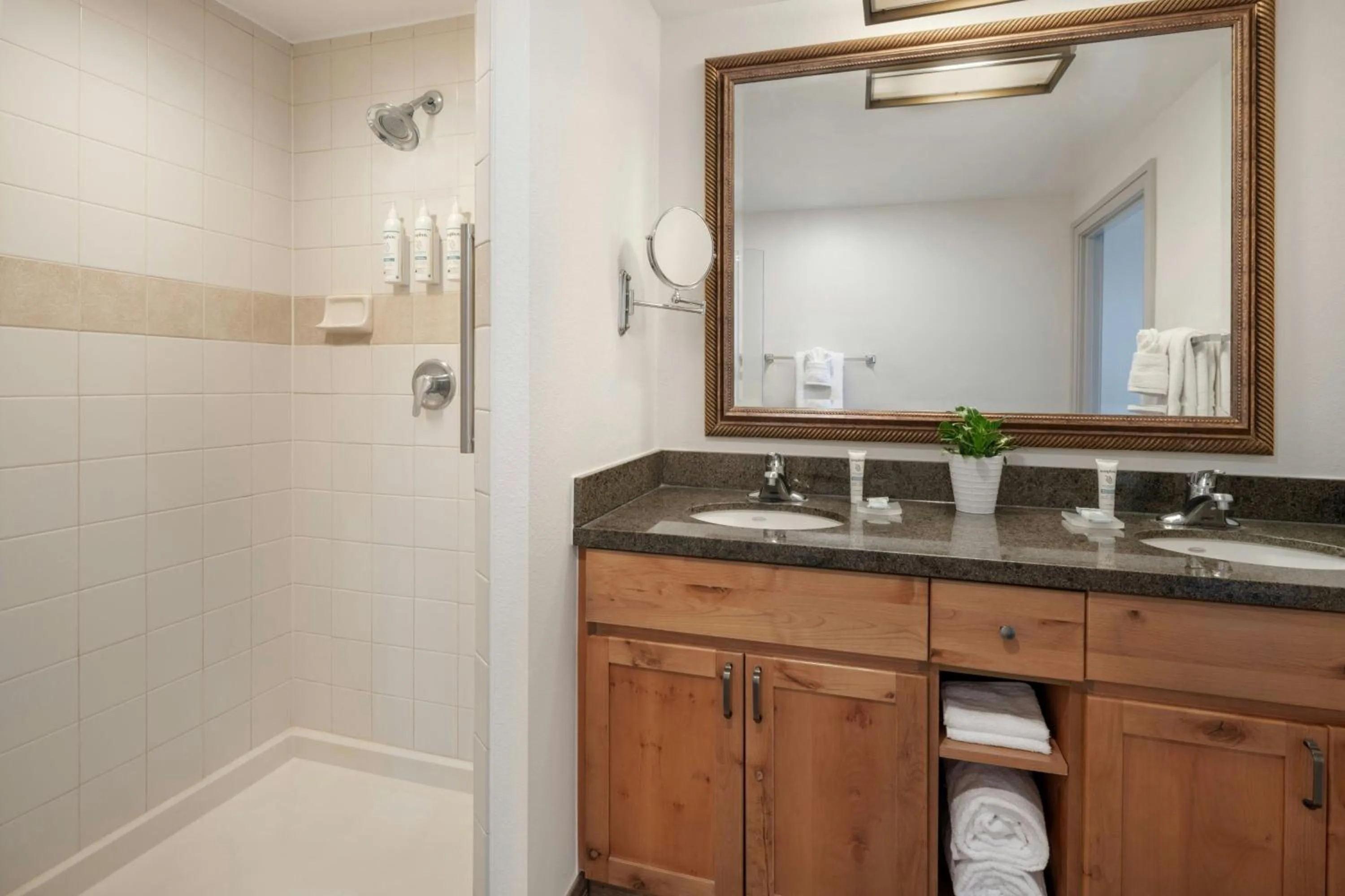 Bathroom in Marriott's Timber Lodge