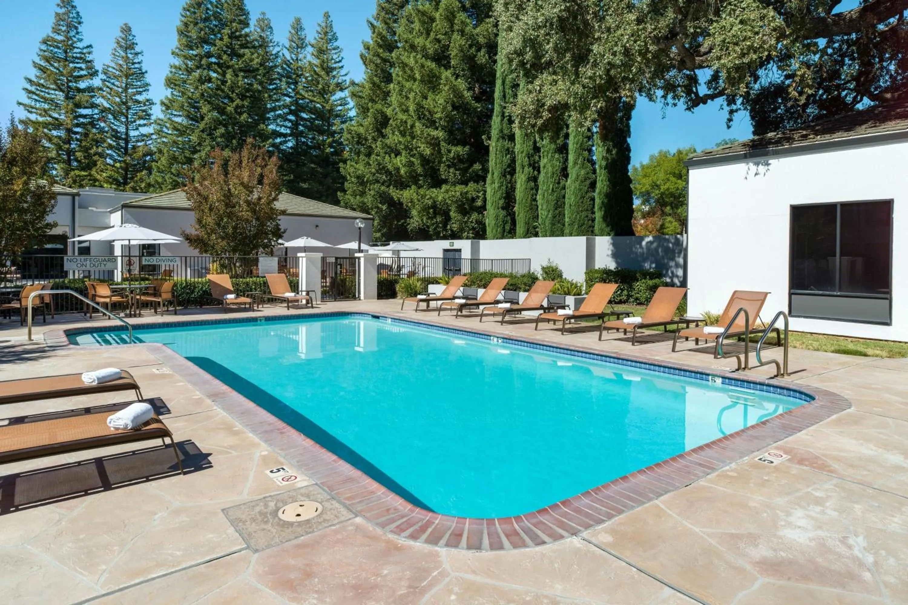 Swimming pool in Courtyard Sacramento Airport Natomas