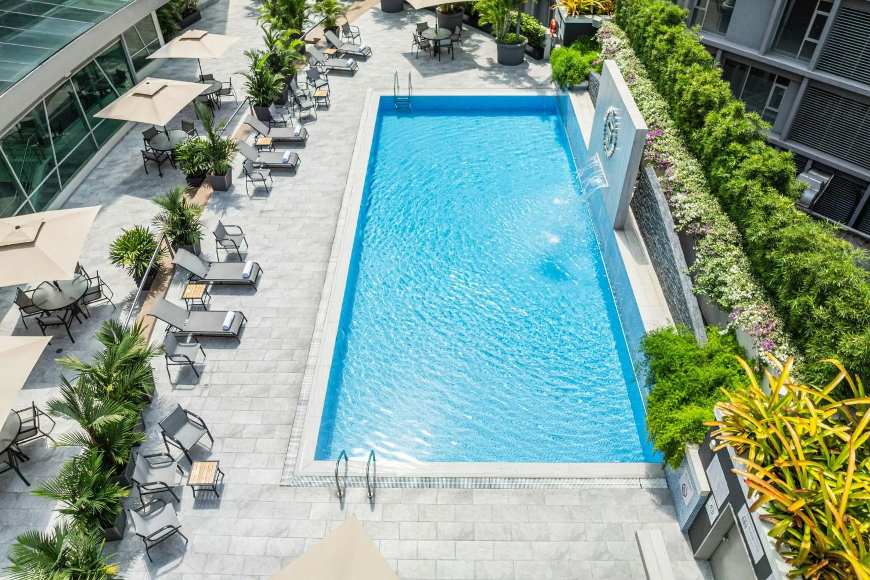 Swimming pool in Sheraton Guayaquil