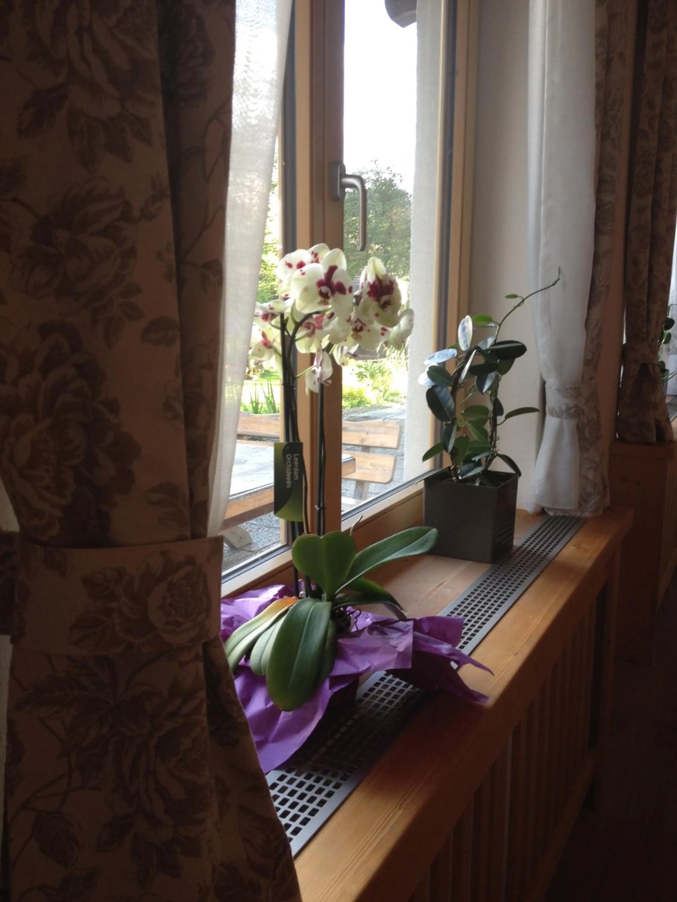 Dining area in Hotel Aquamarin