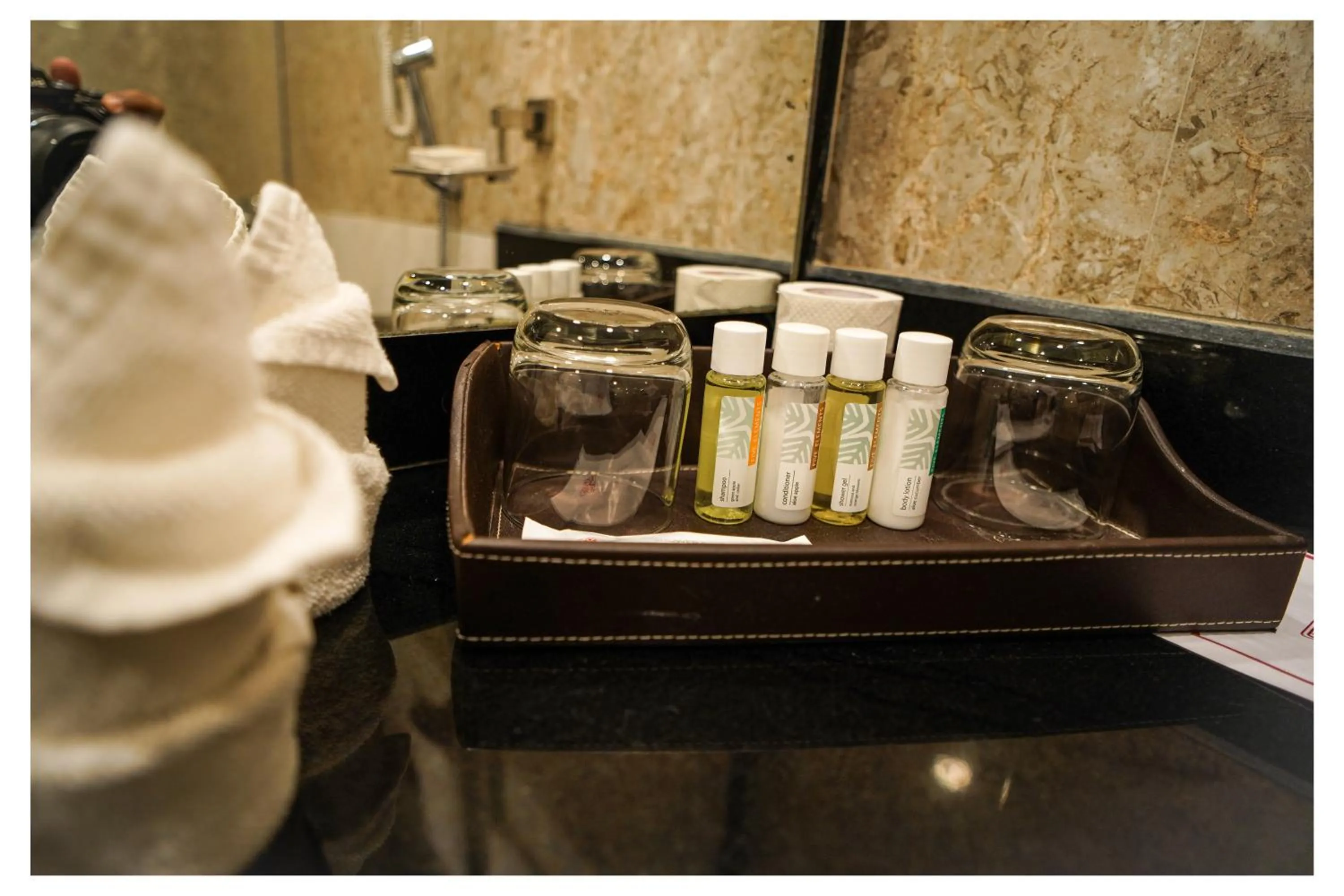 Bathroom in Ambassador Ajanta Hotel, Aurangabad
