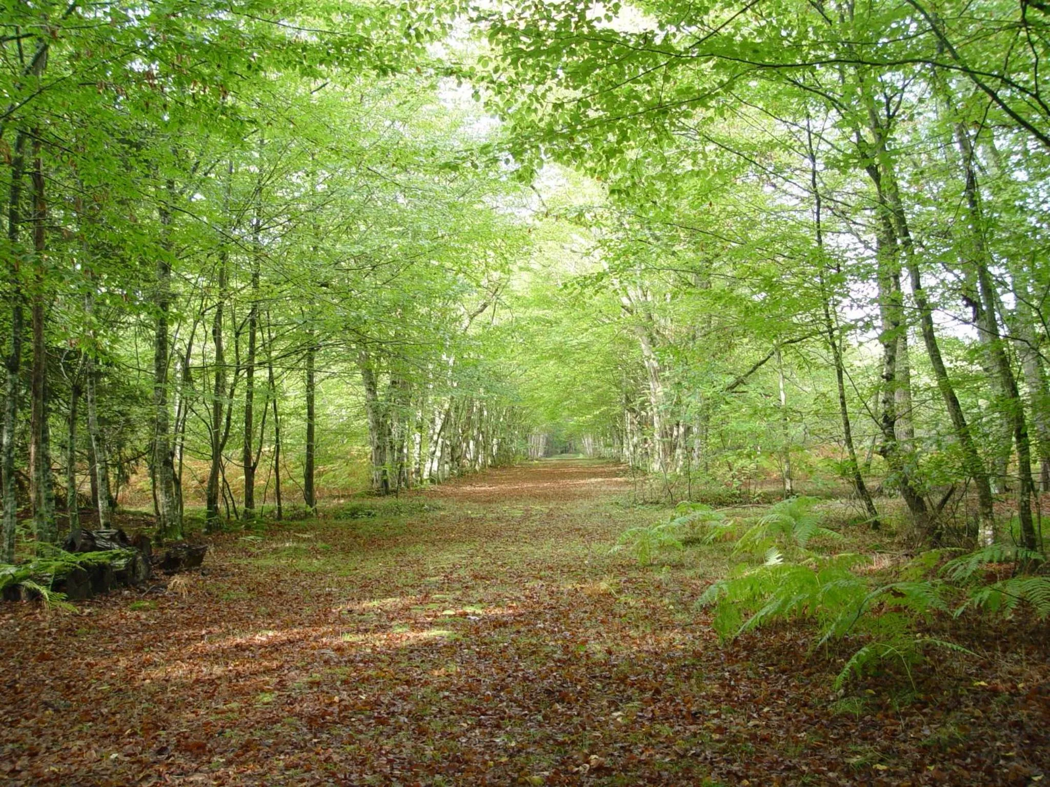 Natural landscape in Hostellerie Du Château Les Muids