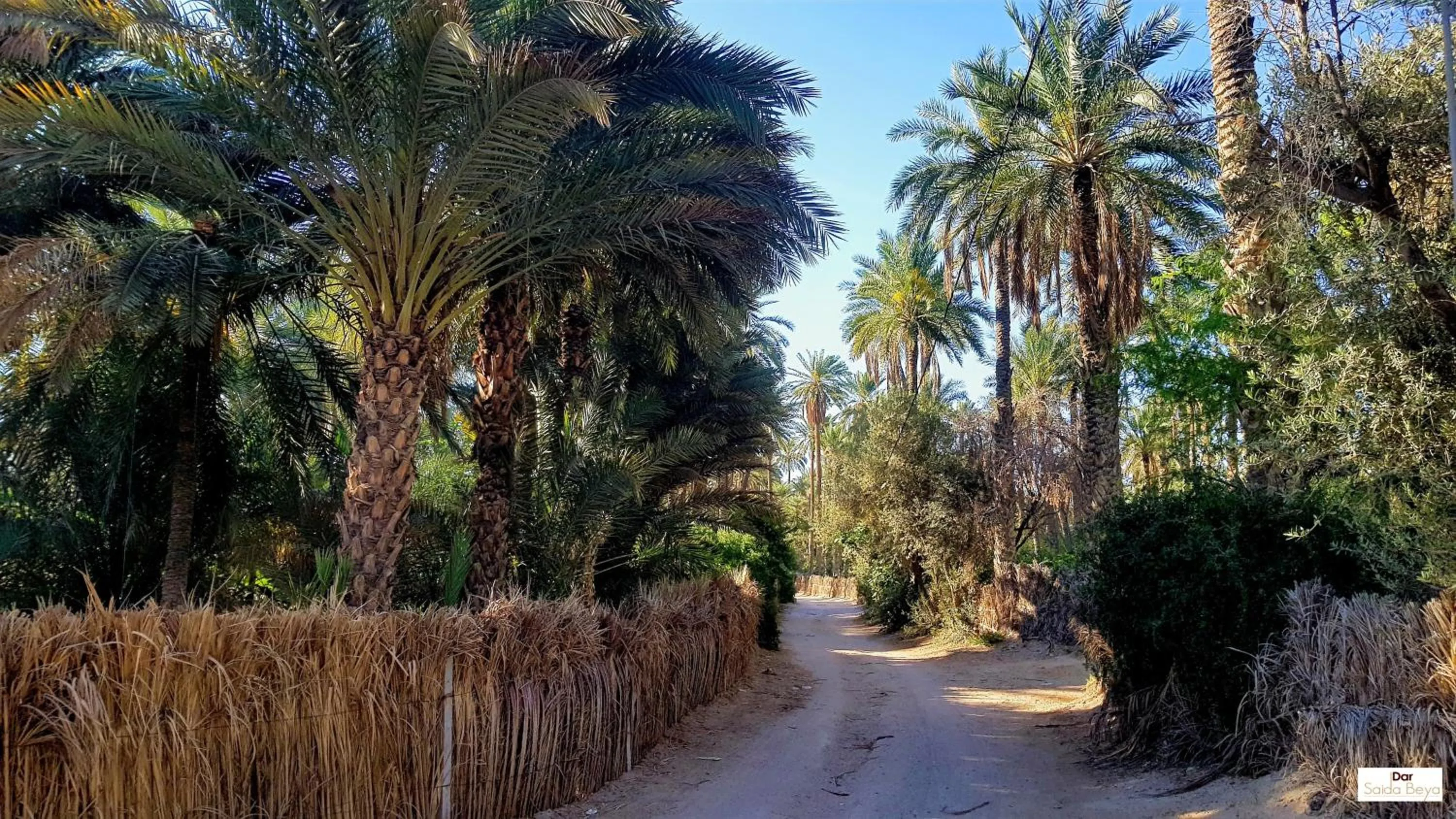 Natural landscape in Dar Saida Beya