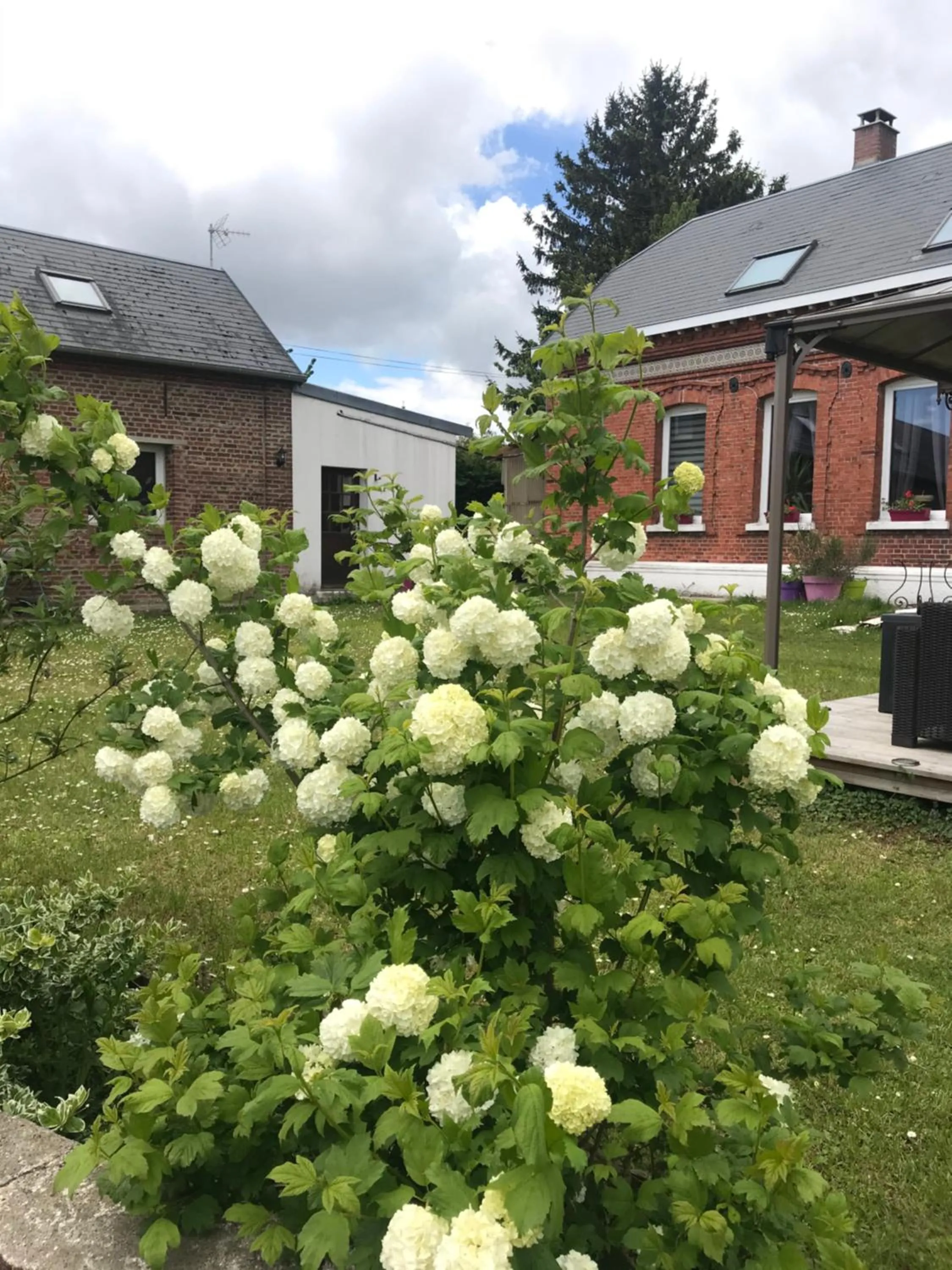 Chambre d'hôtes "COQUELICOT"