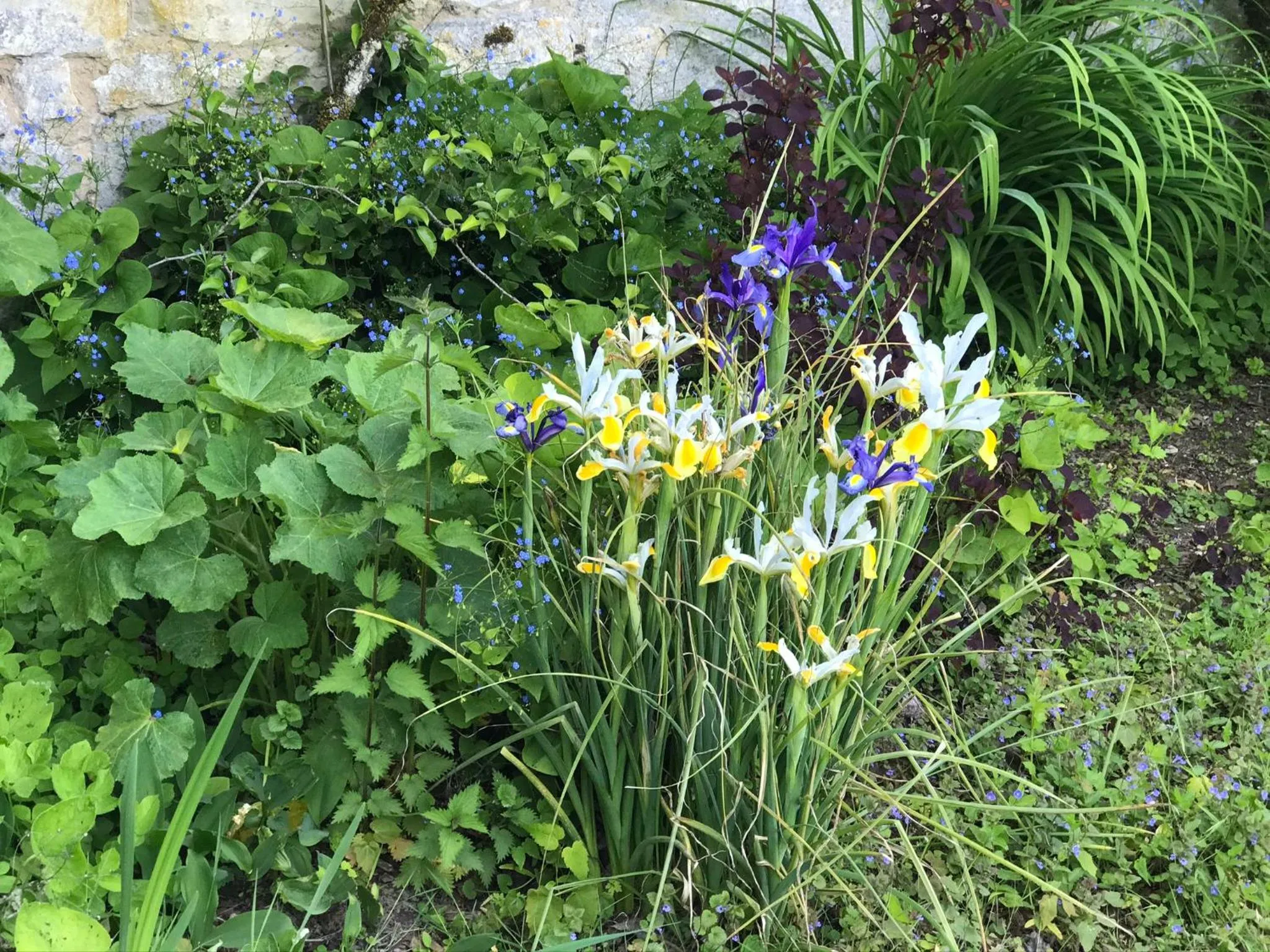Chambre d'hôtes "COQUELICOT"