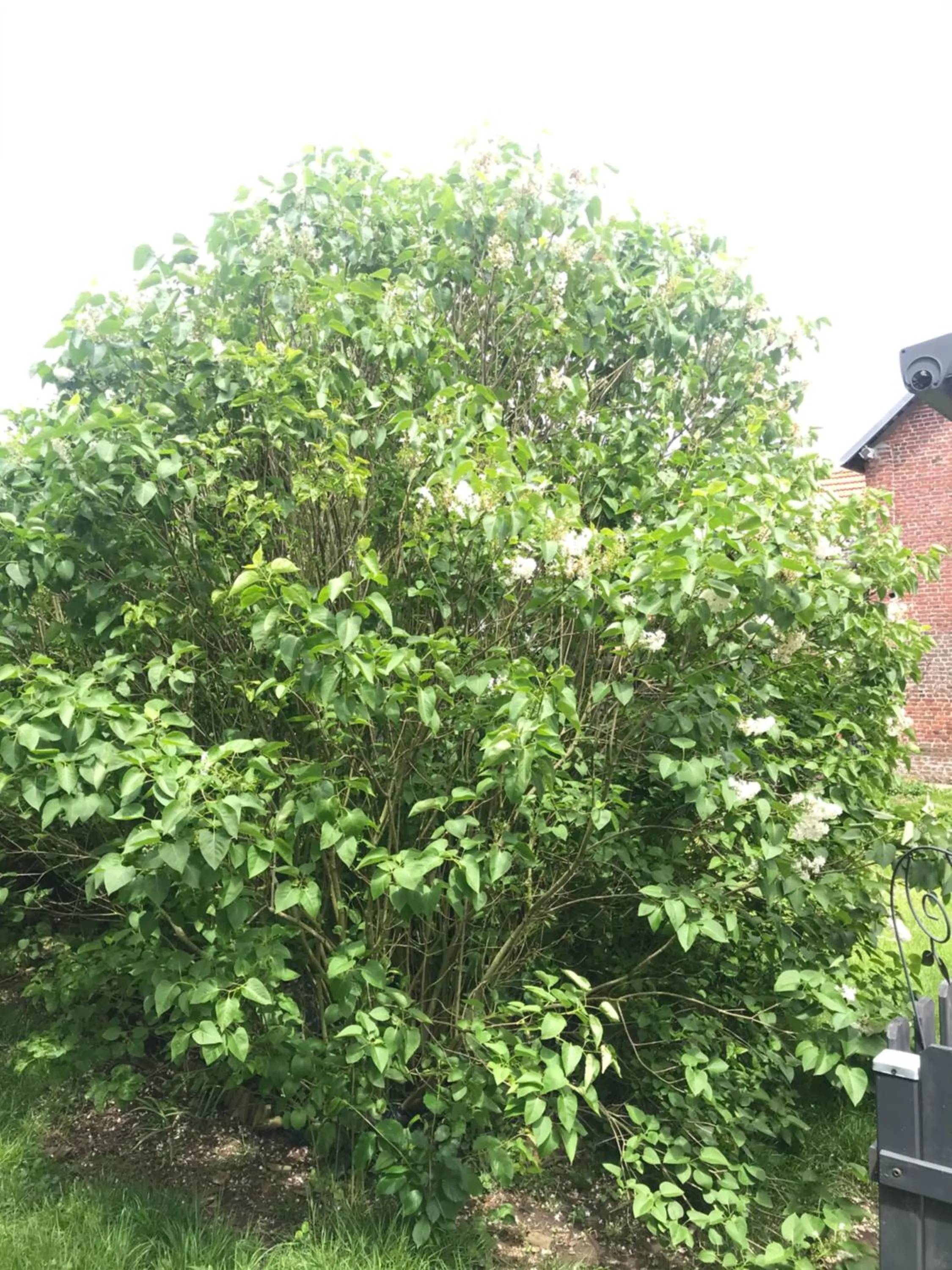 Chambre d'hôtes "COQUELICOT"