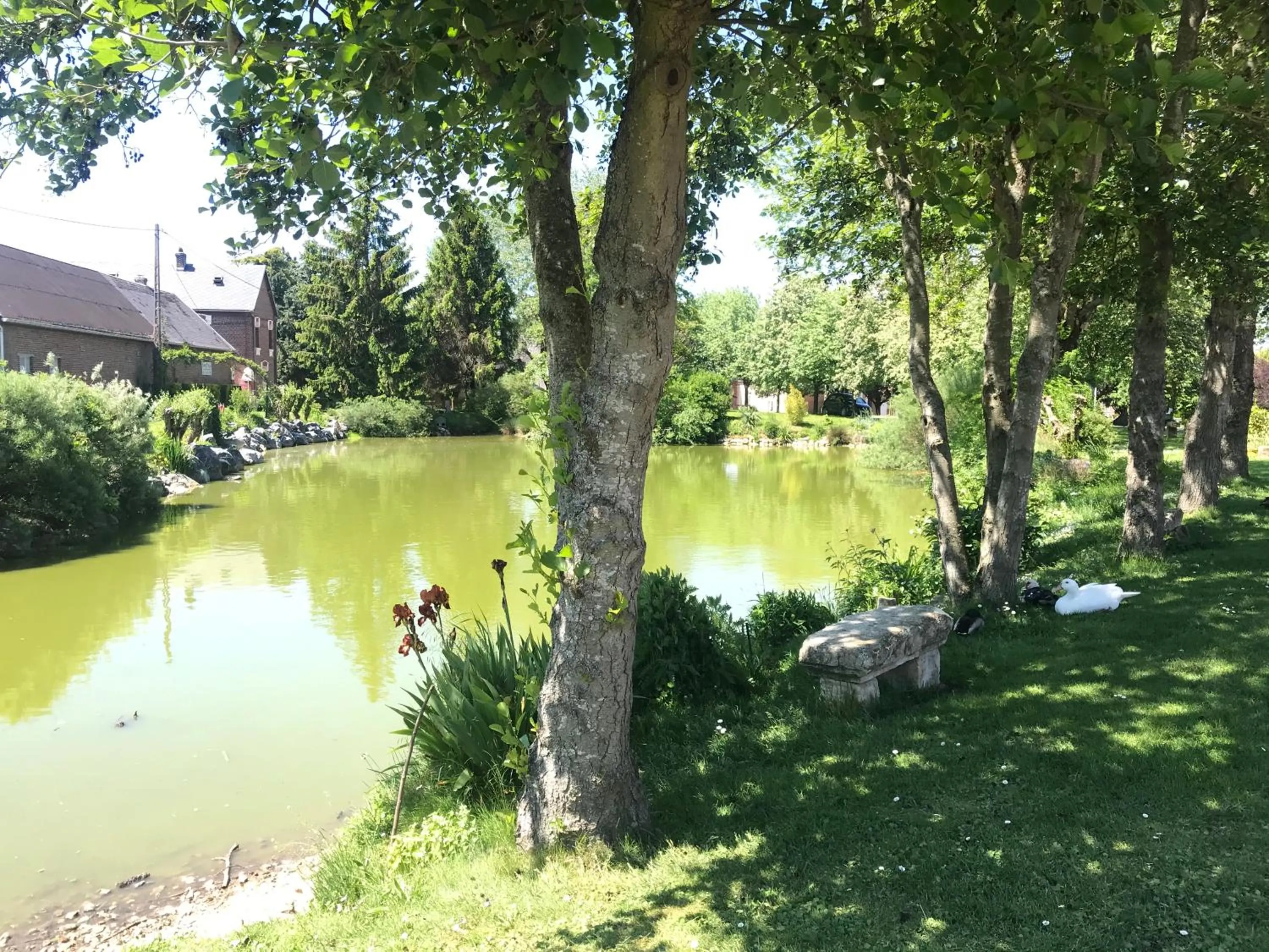 Chambre d'hôtes "COQUELICOT"