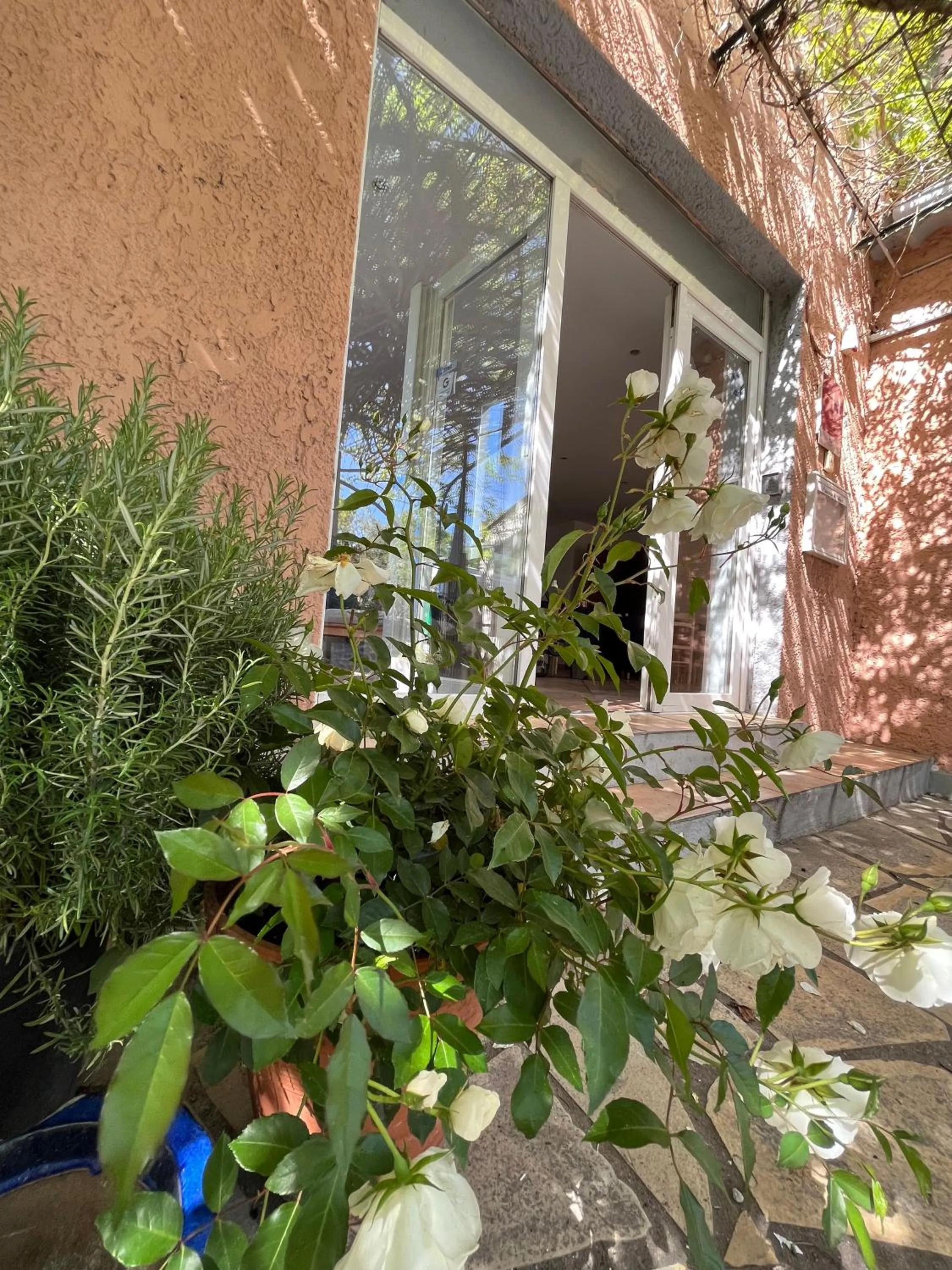 Facade/entrance in Hotel Princesse D'Azur