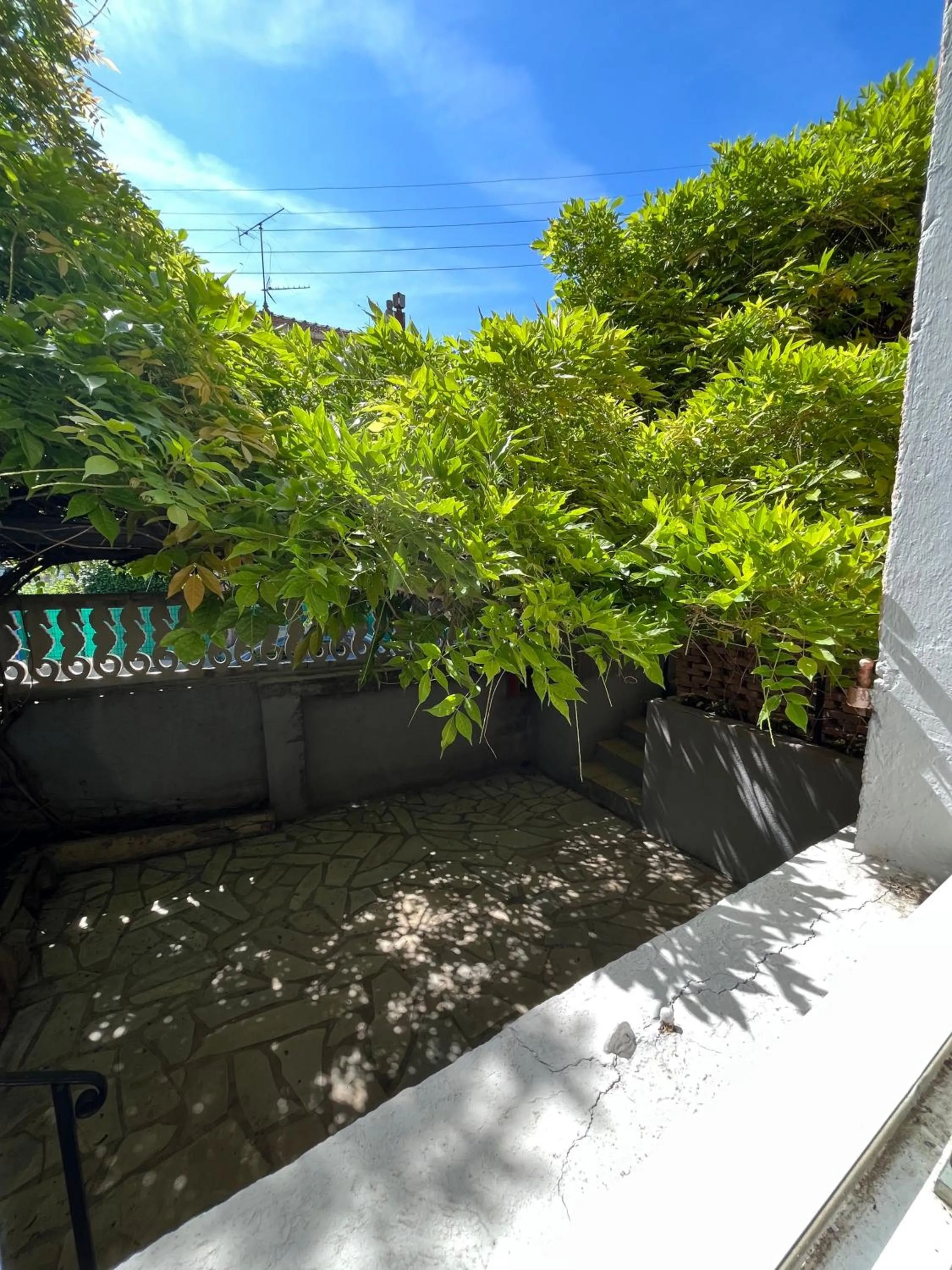 Garden in Hotel Princesse D'Azur