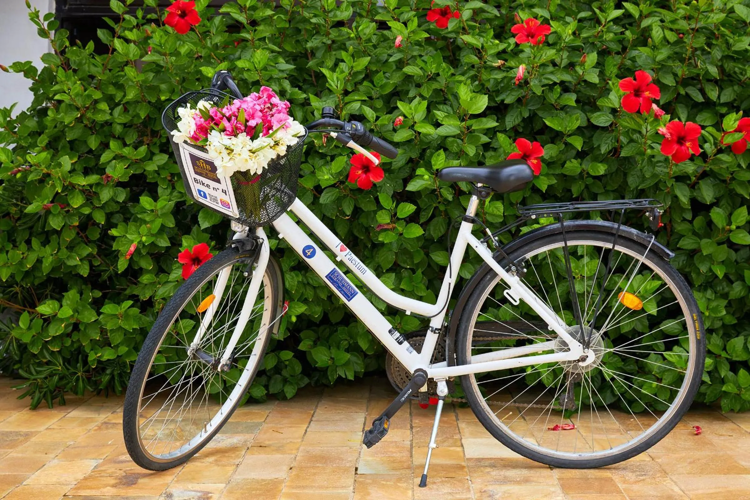 Cycling in Hotel Schuhmann