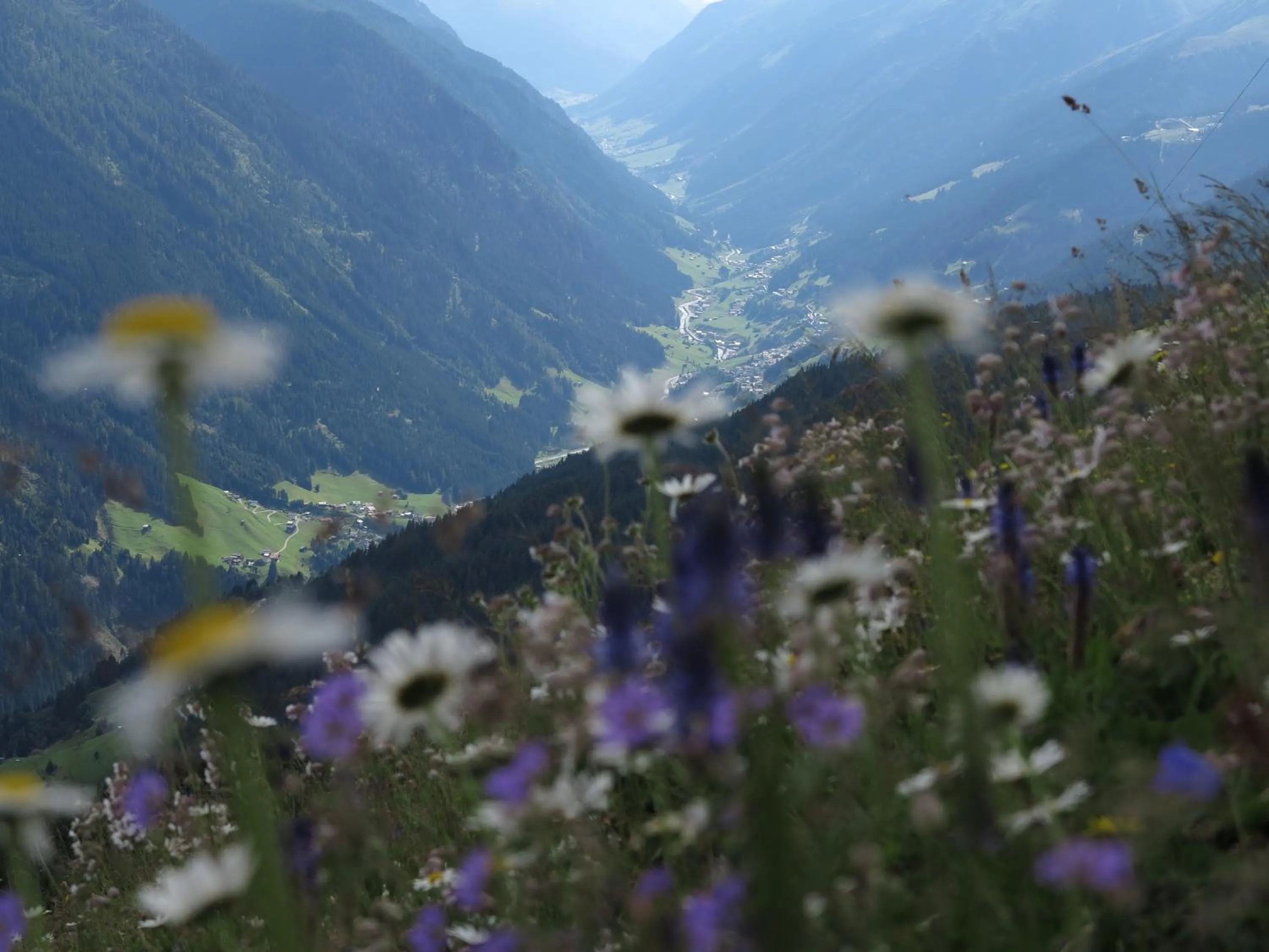 Natural landscape in Mallaun Hotel.Erlebnis