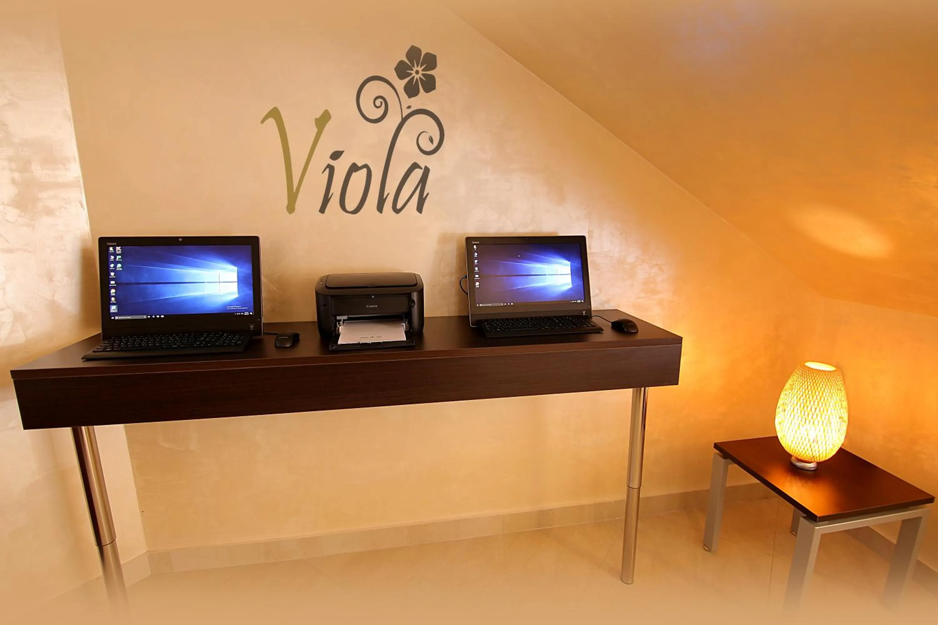 Business facilities in Viola Hotel Suites