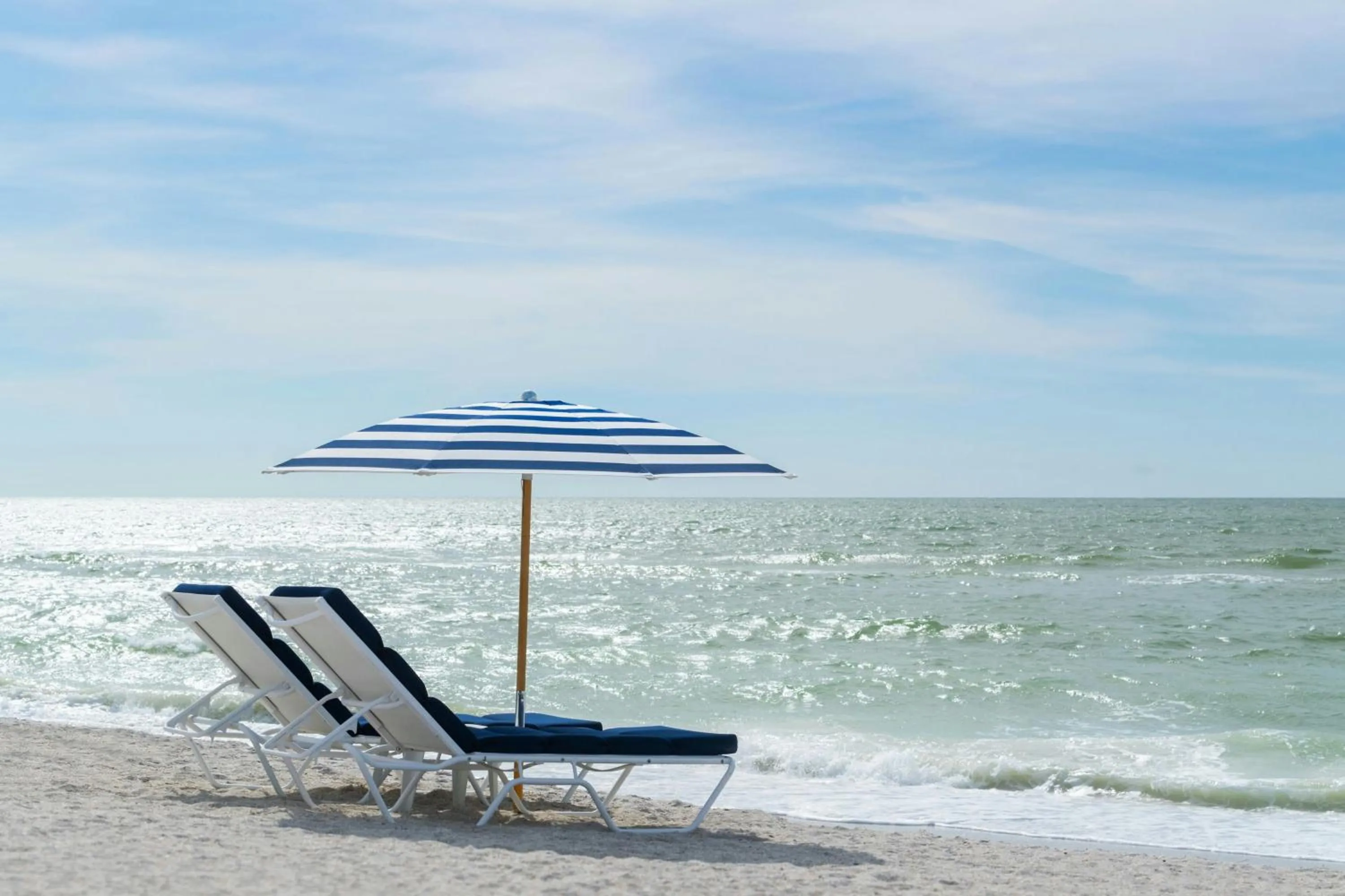 Lounge or bar in The Ritz-Carlton, Sarasota