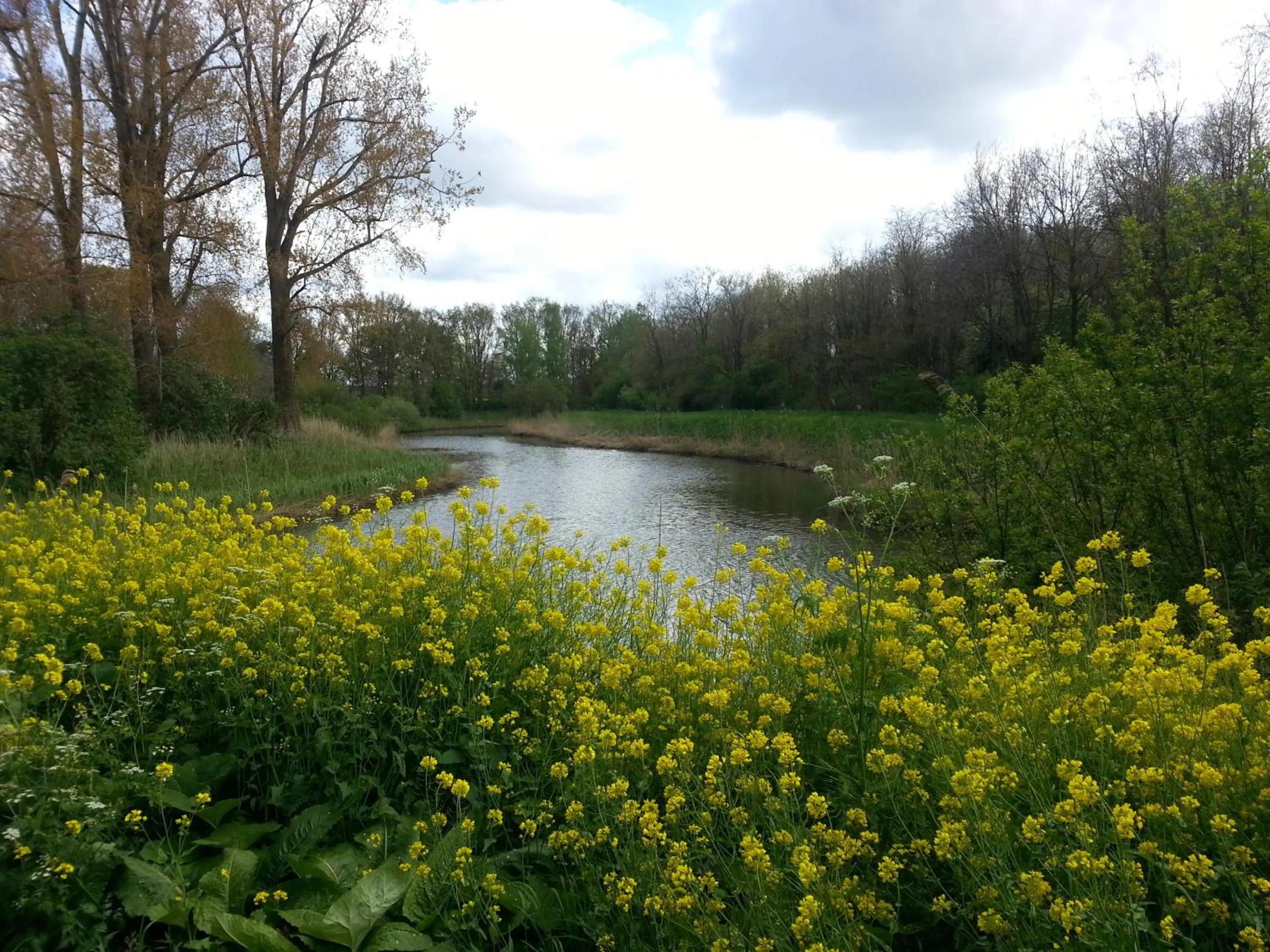 Natural landscape in B & B De Pimpelmees