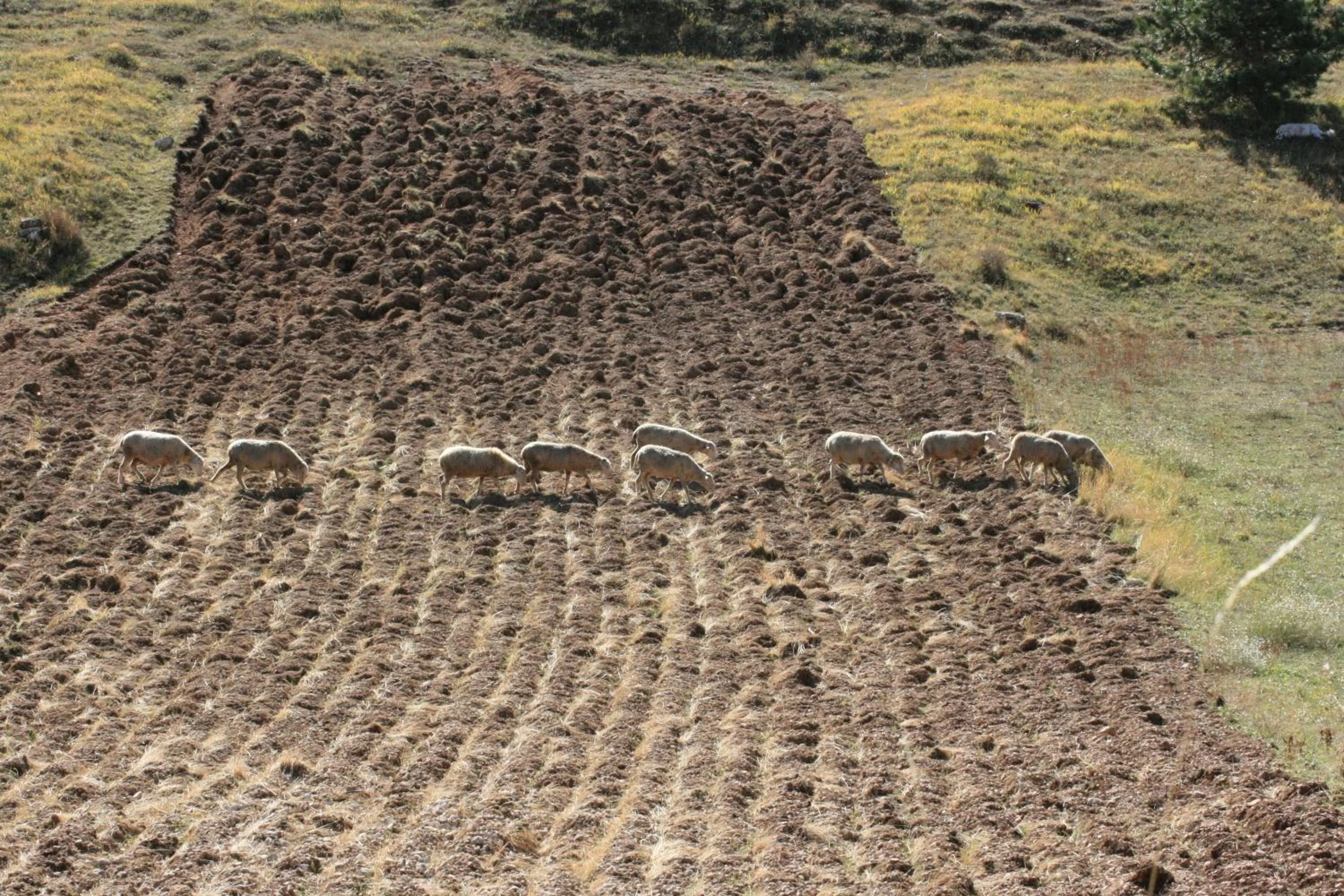 View (from property/room) in Residenza La Torre