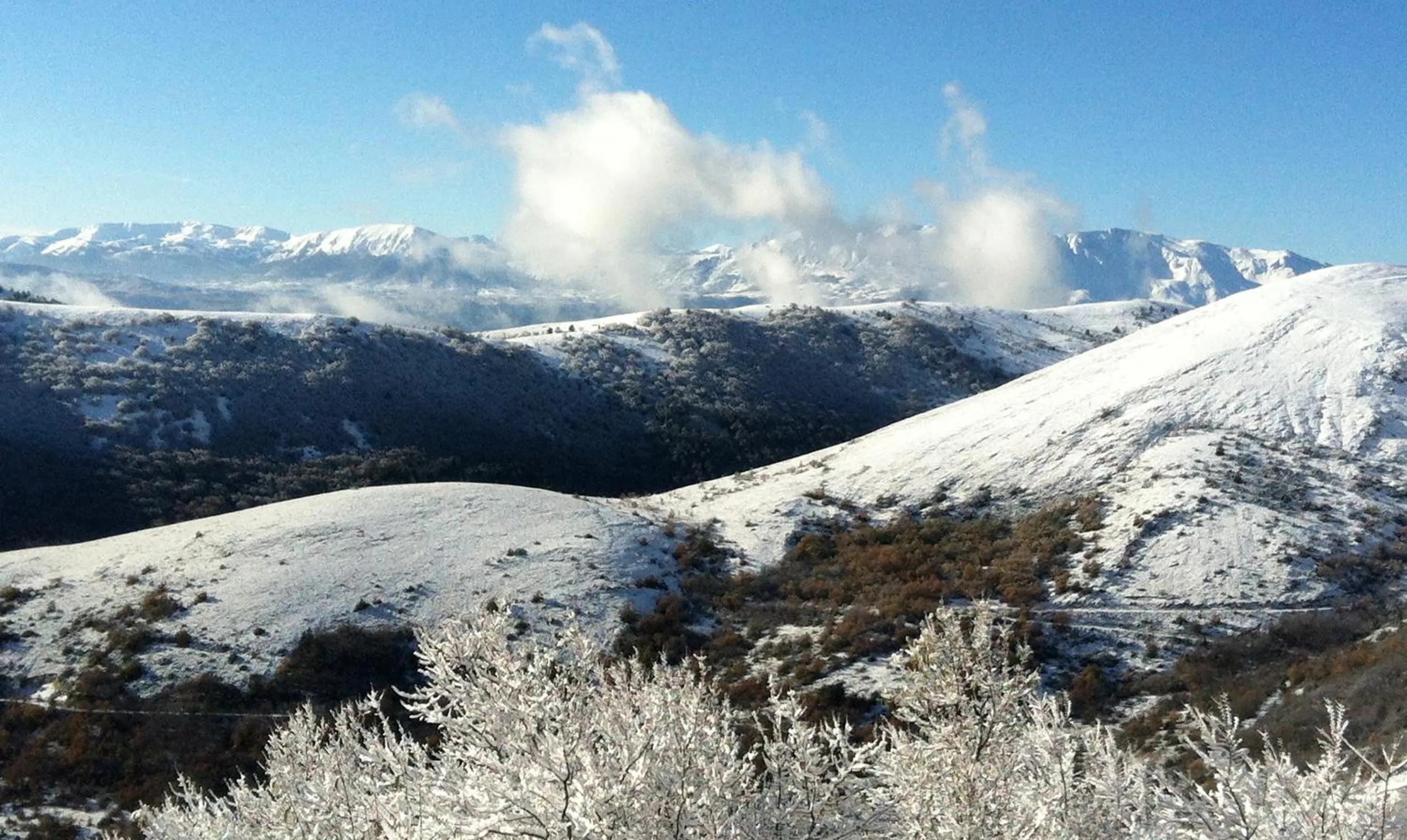 View (from property/room) in Residenza La Torre