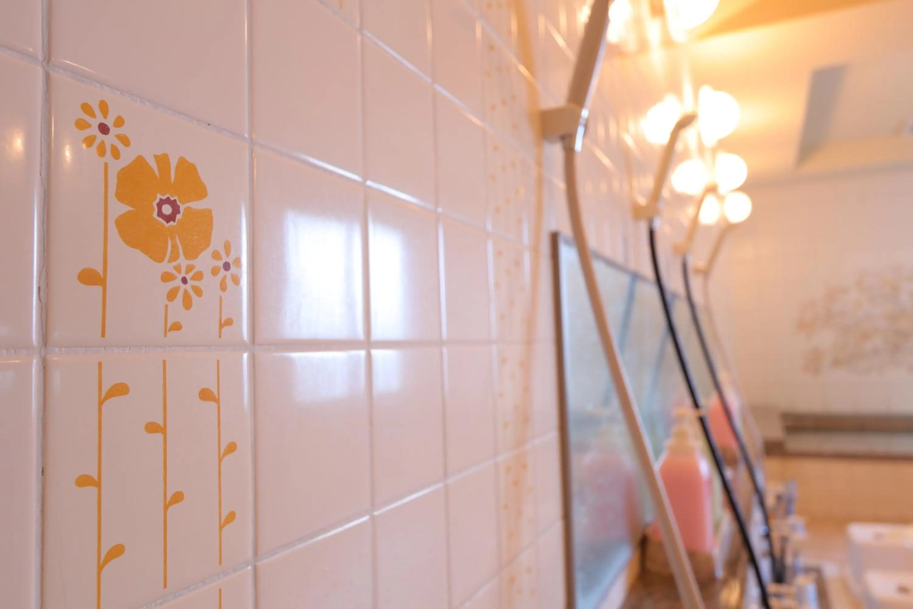 Public Bath in Ryokan Nakaya