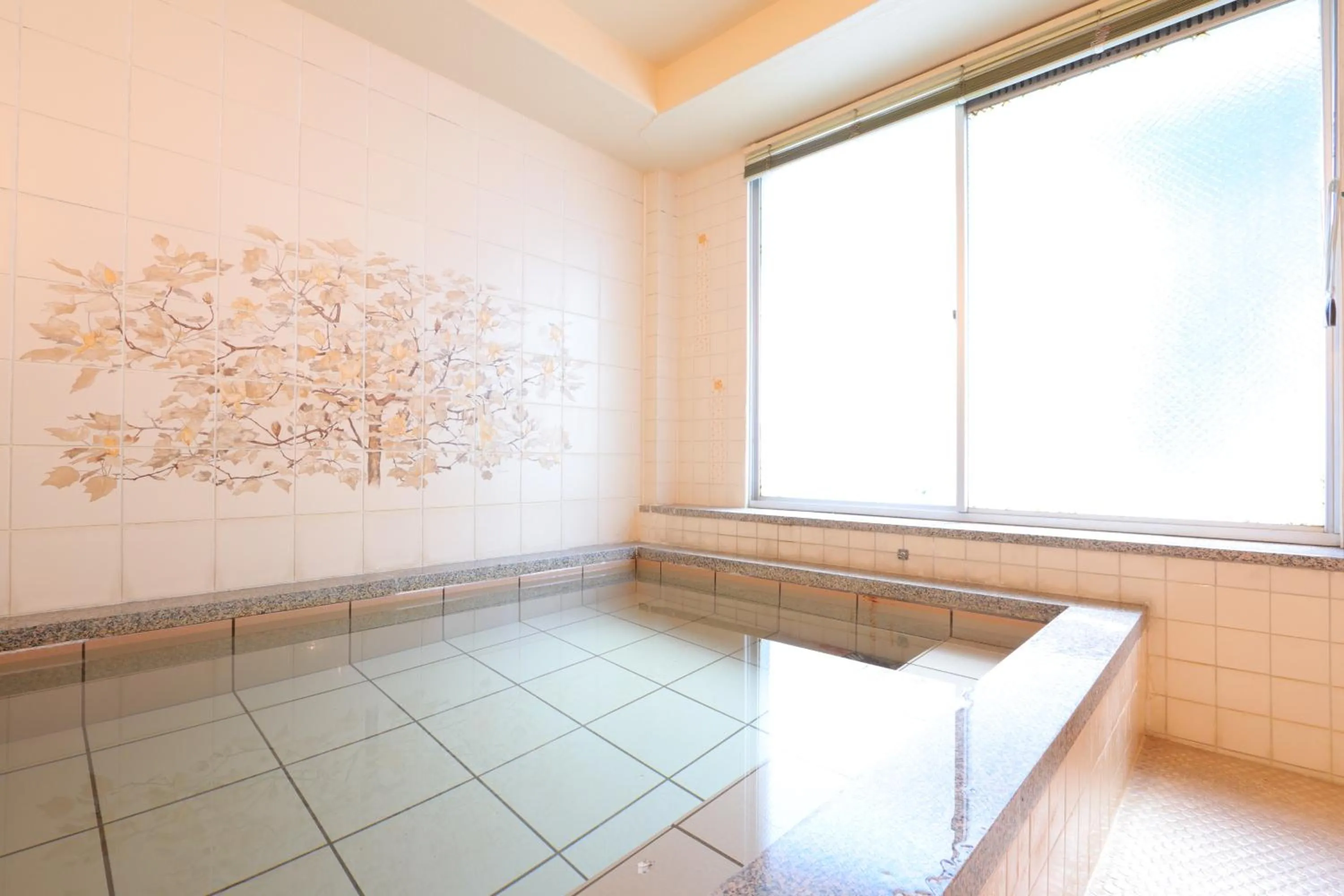 Public Bath in Ryokan Nakaya