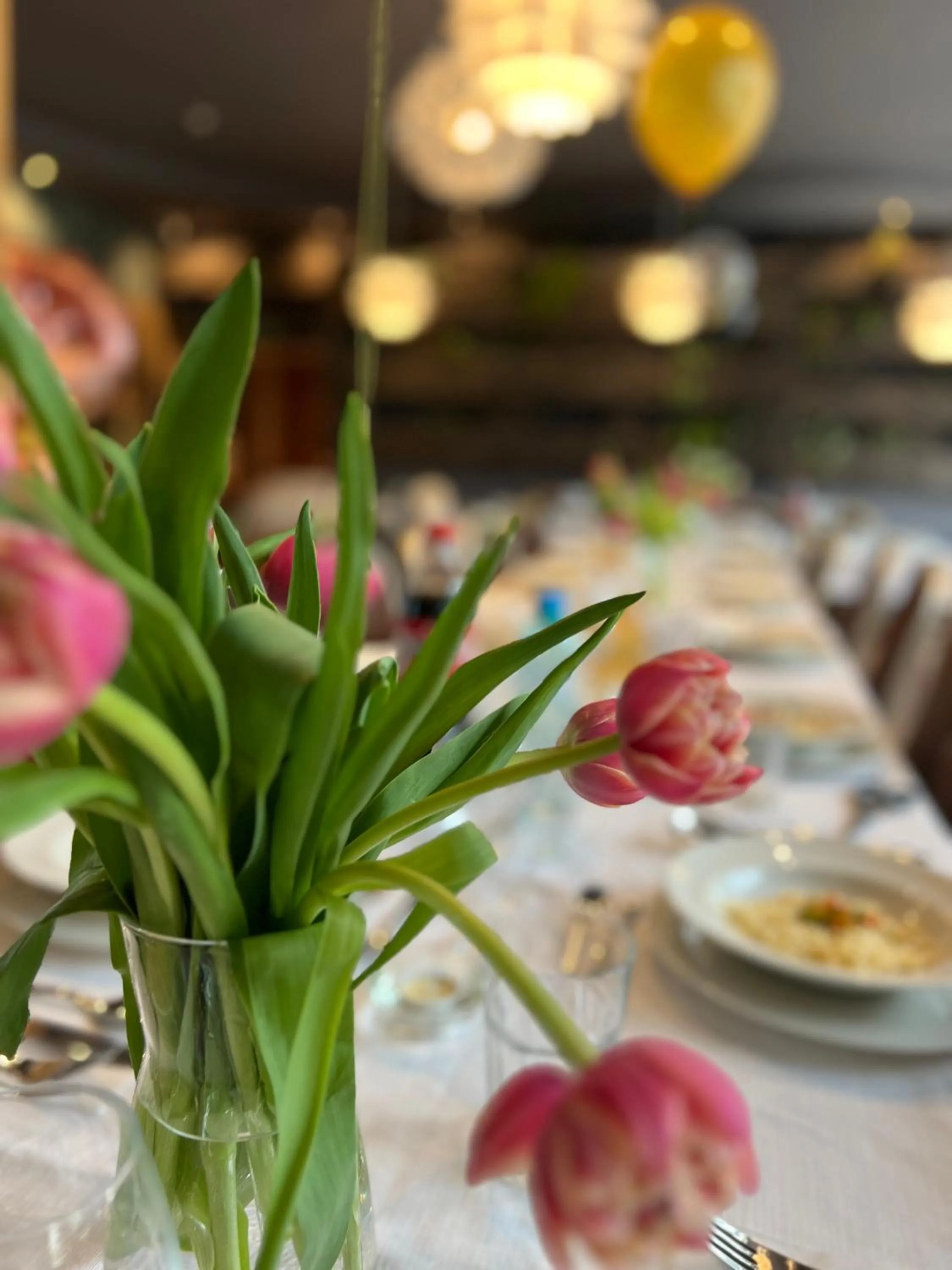 Restaurant/places to eat in Płonia Resort