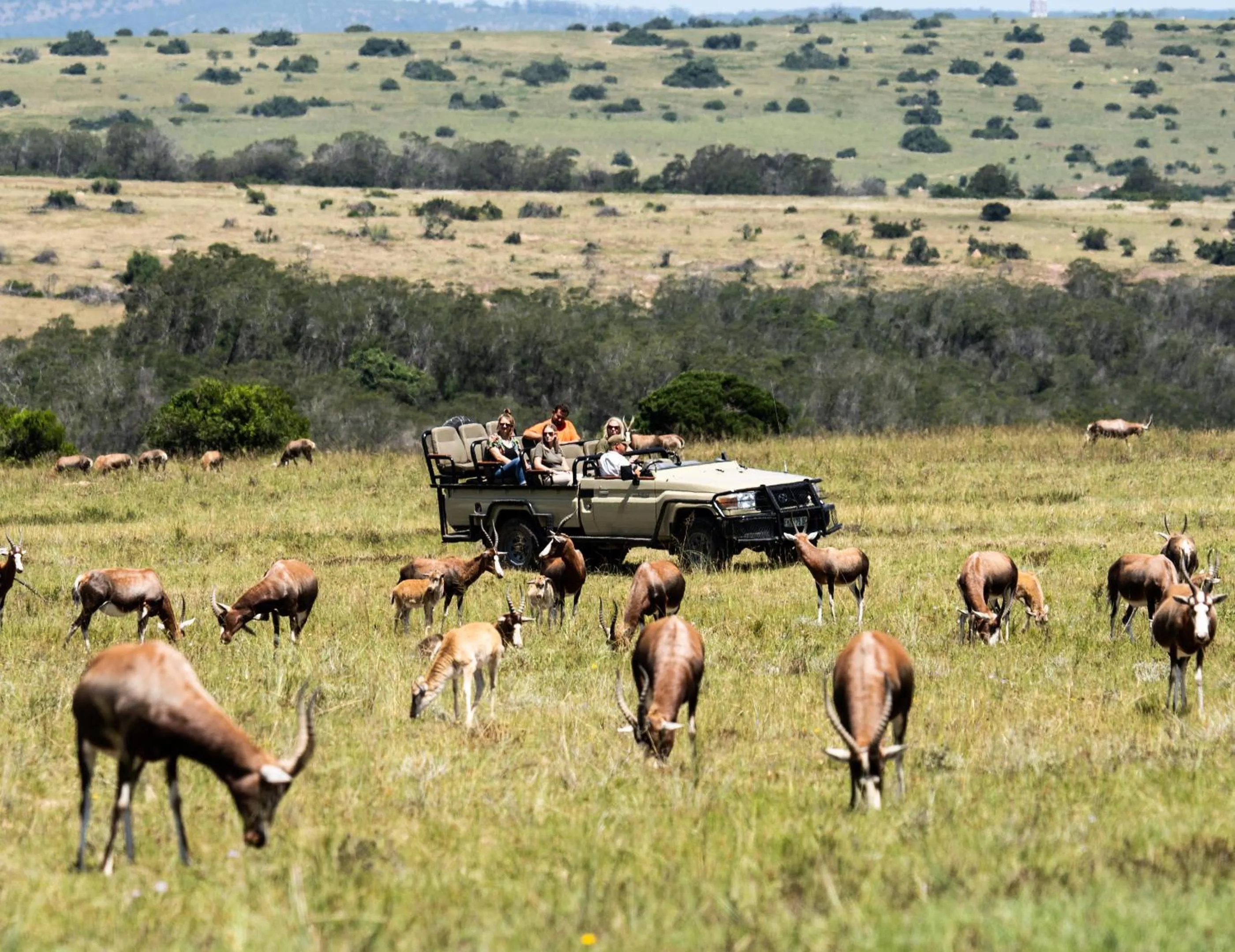 Lalibela Wildlife Reserve - Inzolo Lodge
