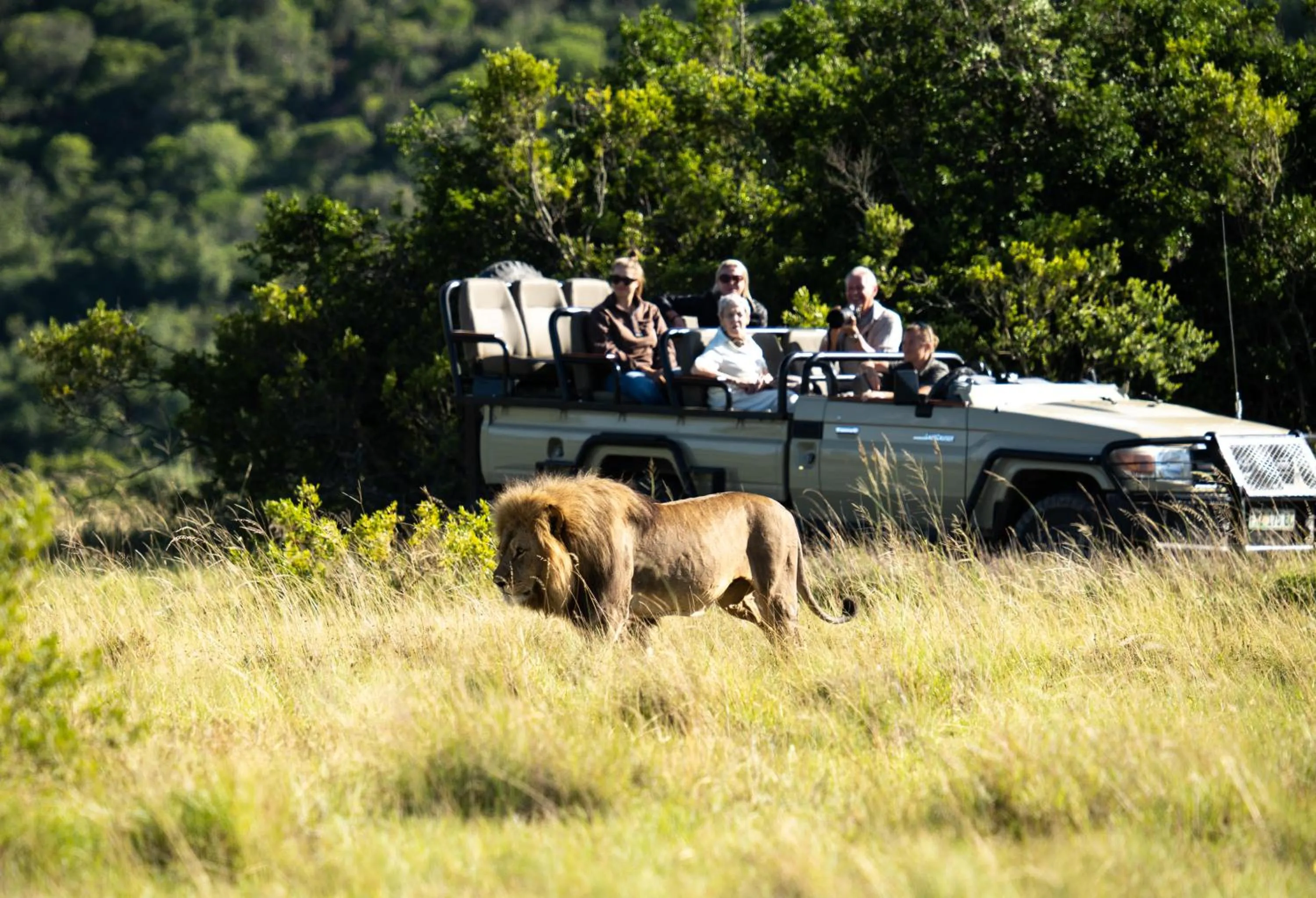 Lalibela Wildlife Reserve - Inzolo Lodge