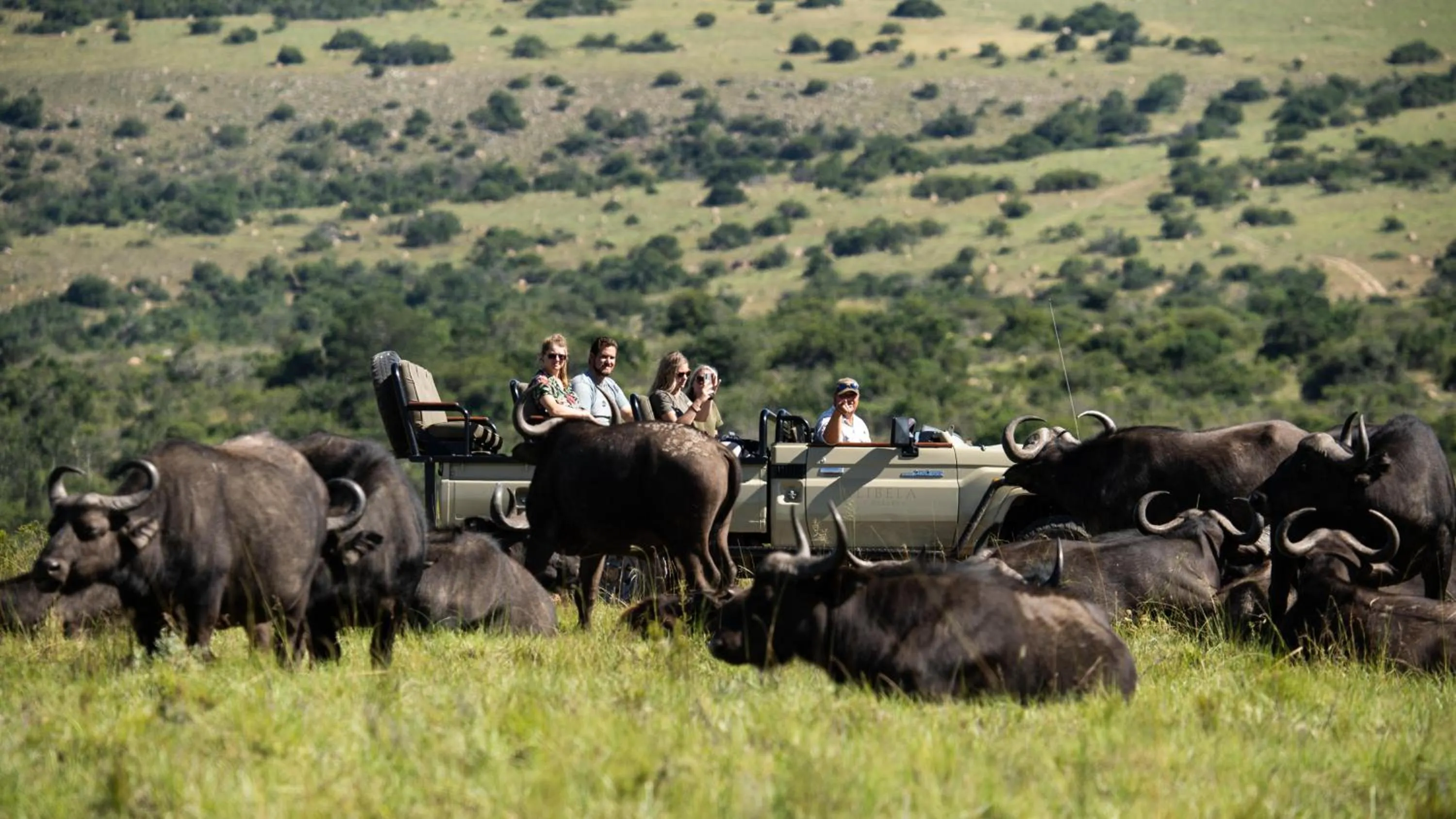 Lalibela Wildlife Reserve - Inzolo Lodge