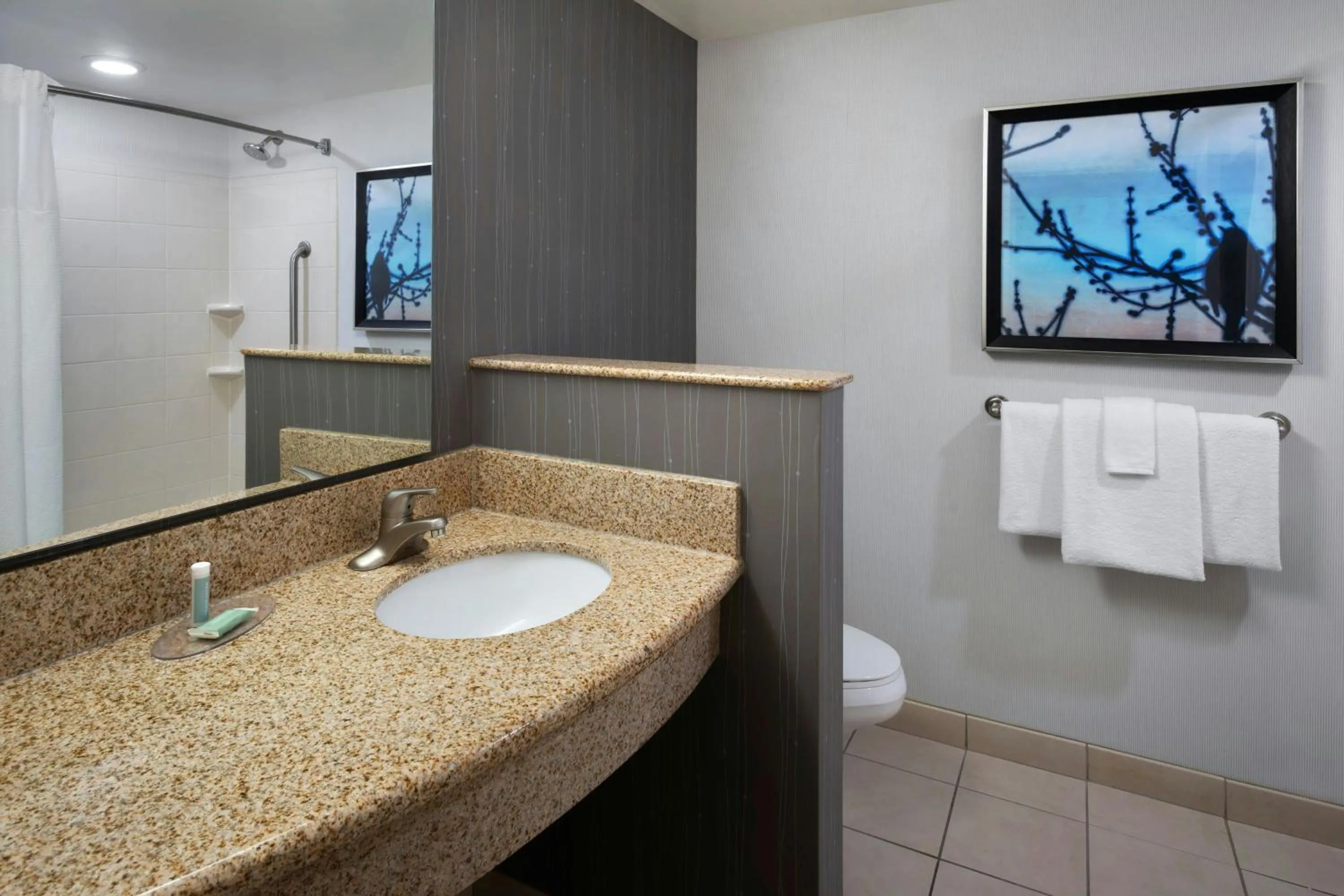 Bathroom in Courtyard by Marriott Gaithersburg Washingtonian Center