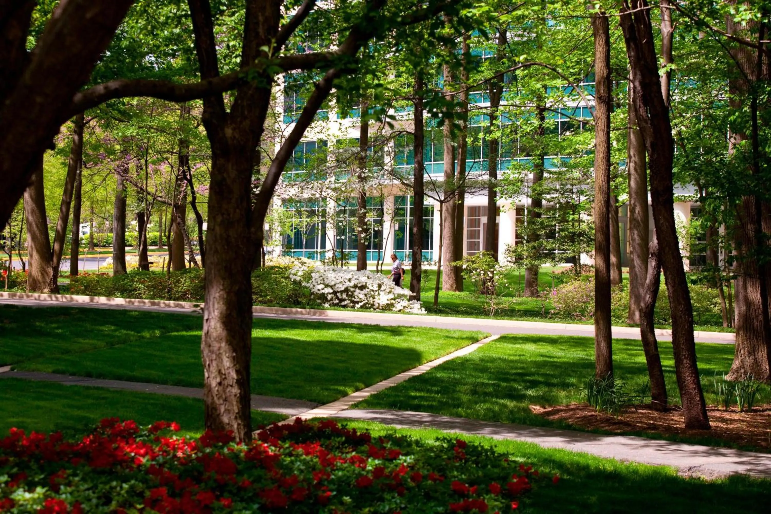 View (from property/room) in Falls Church Marriott Fairview Park