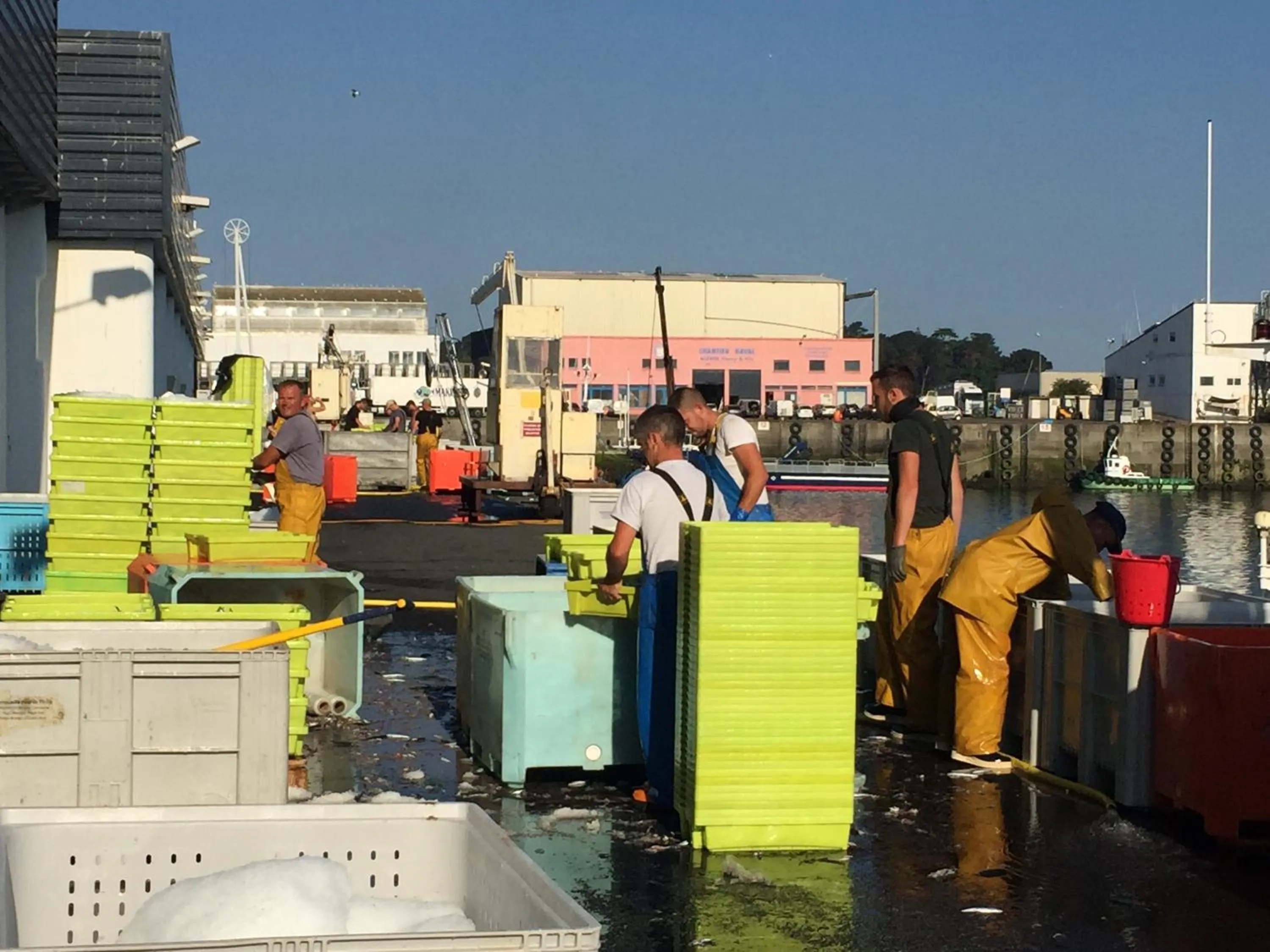 Appartement Design IV - Port du Rosmeur - Douarnenez