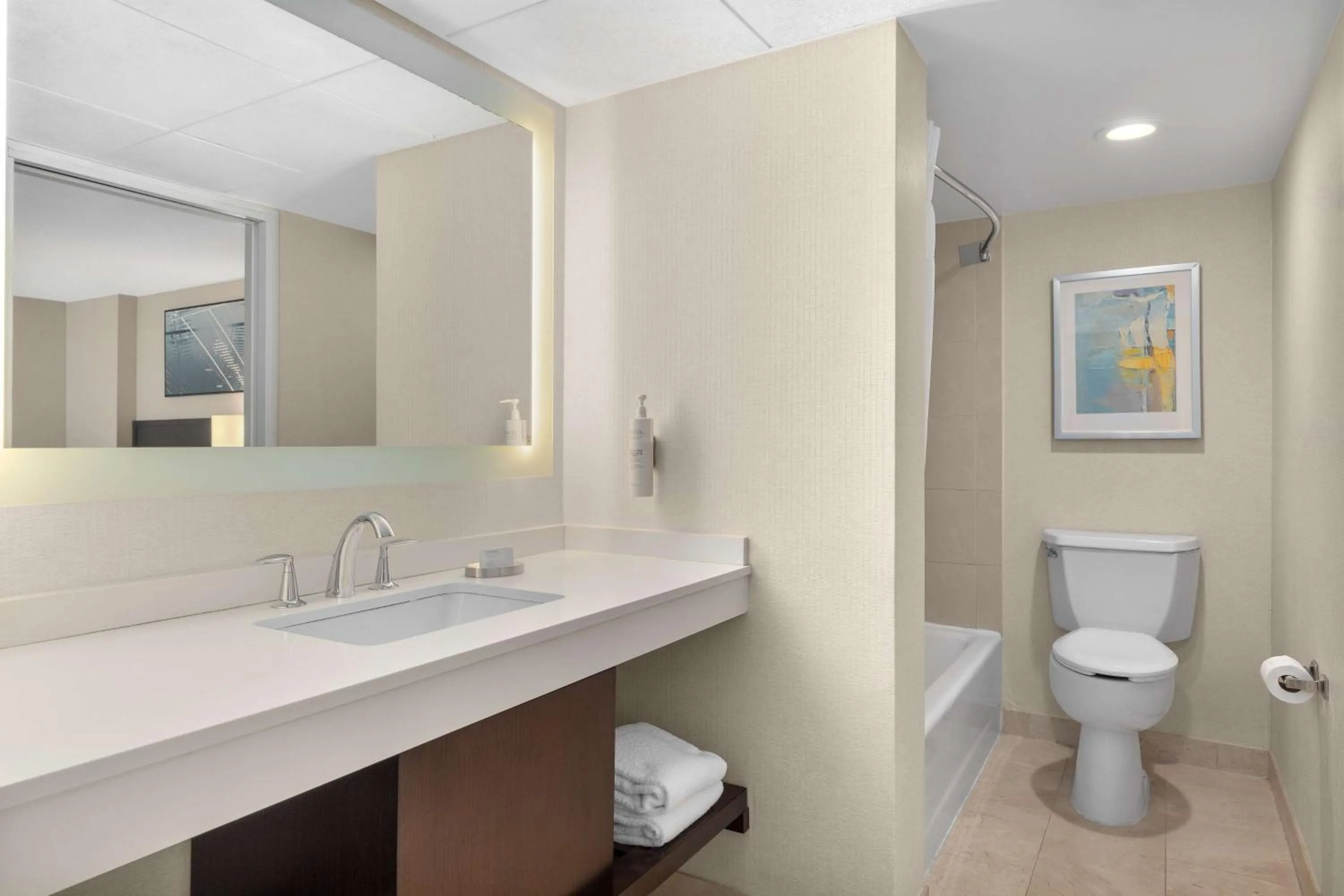 Bathroom in Hampton Inn & Suites Downers Grove Chicago