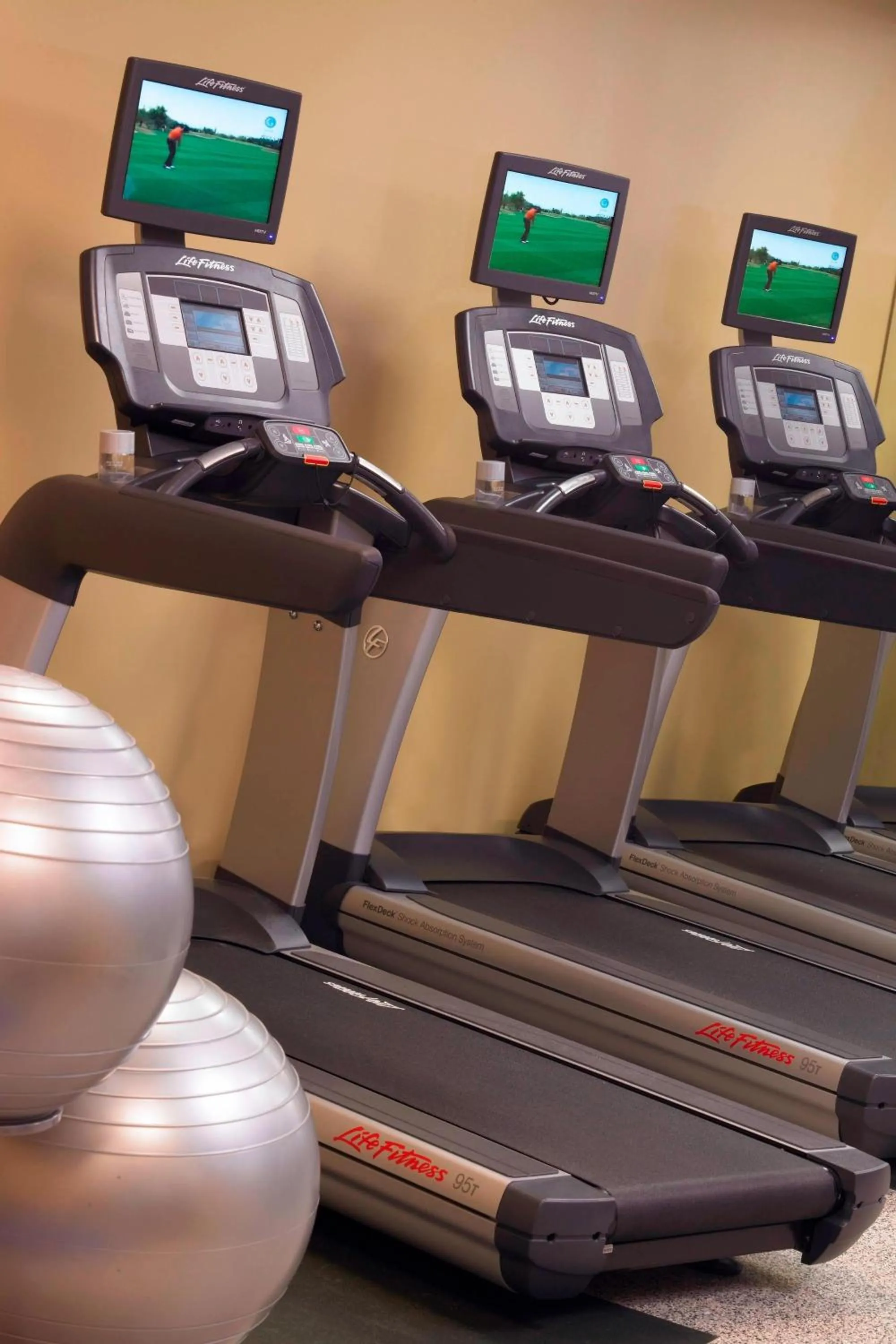 Fitness centre/facilities in Hampton Inn & Suites Downers Grove Chicago