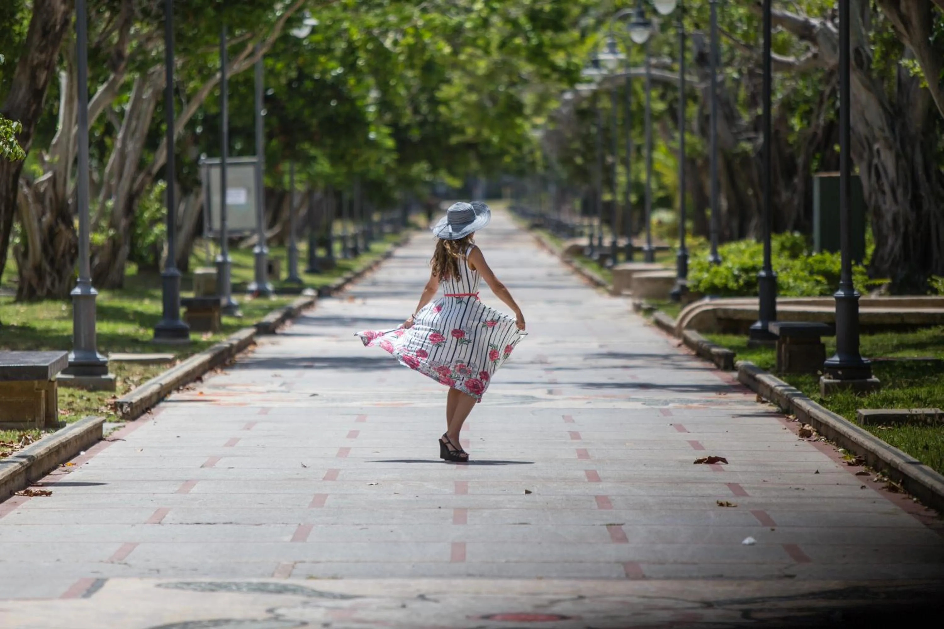 Garden in El San Geronimo